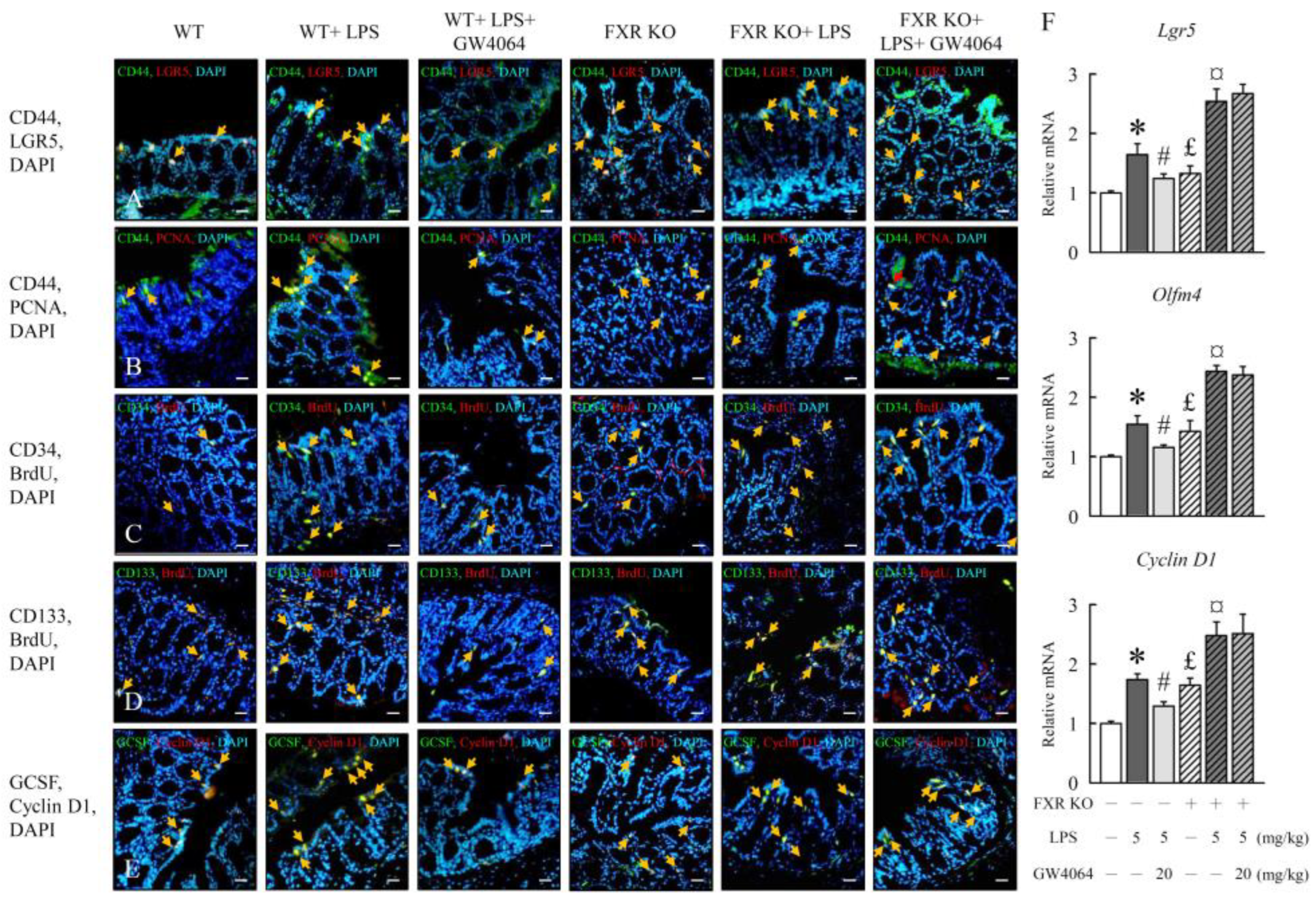 Preprints 88990 g006