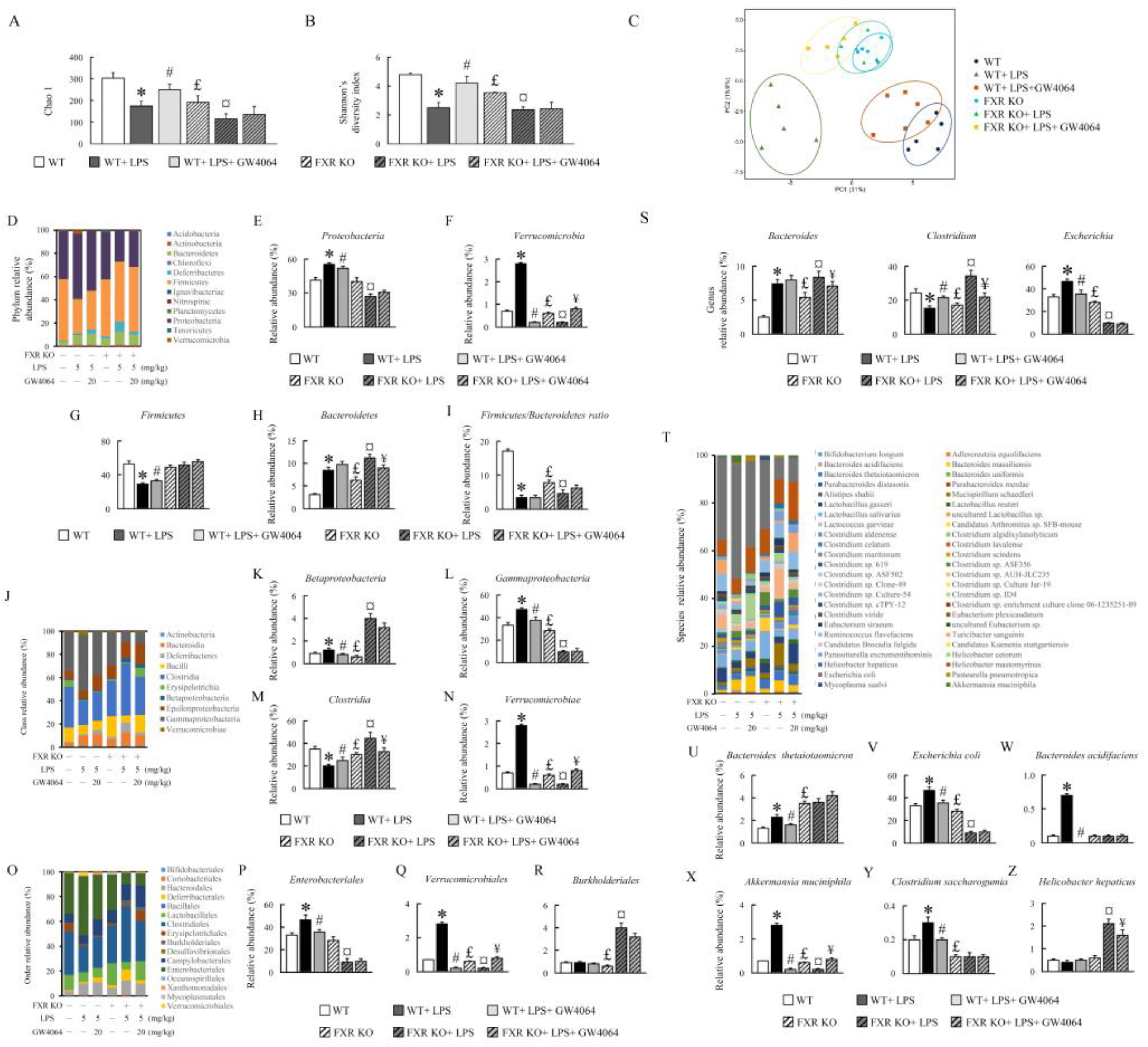 Preprints 88990 g007