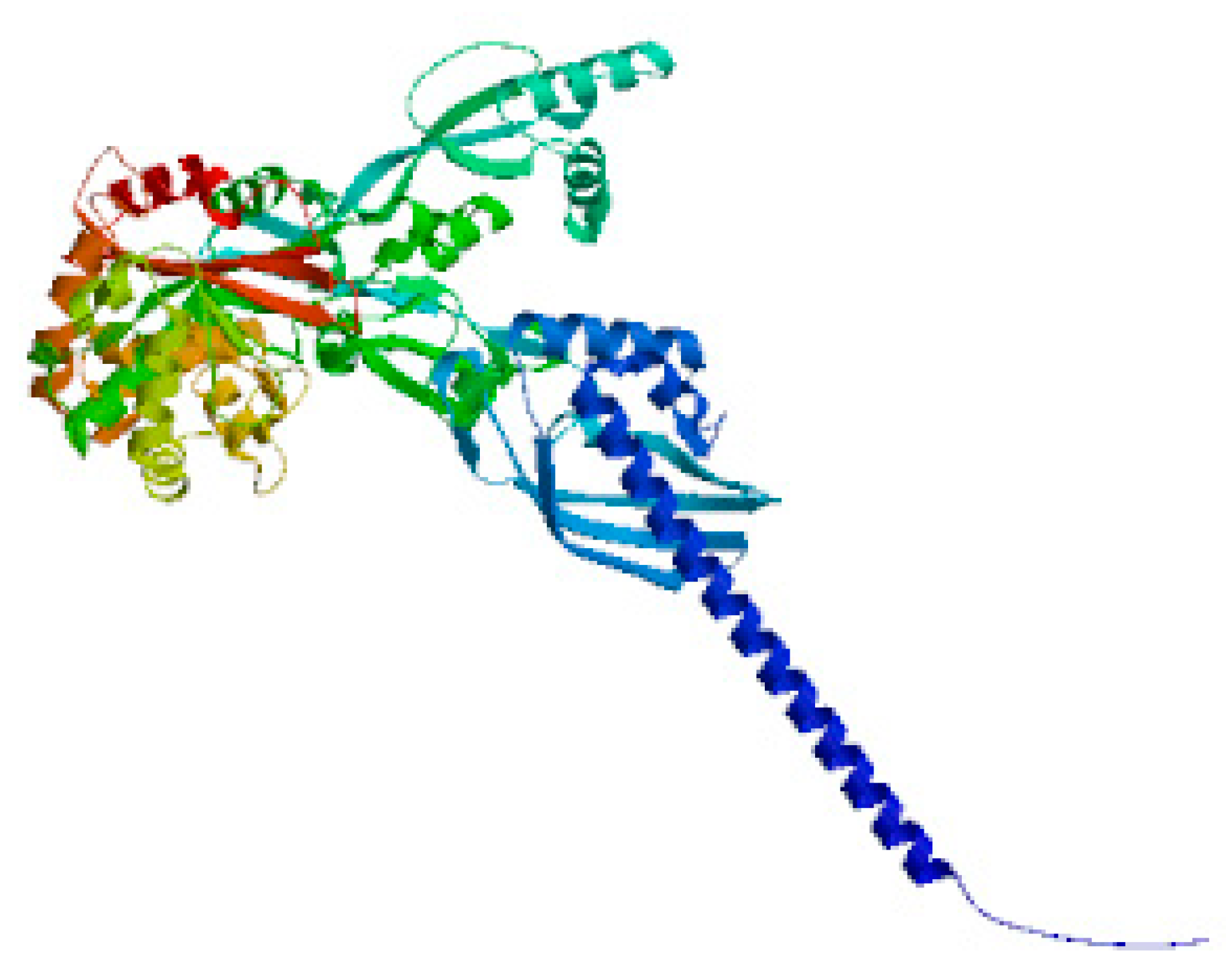 Preprints 116800 g003