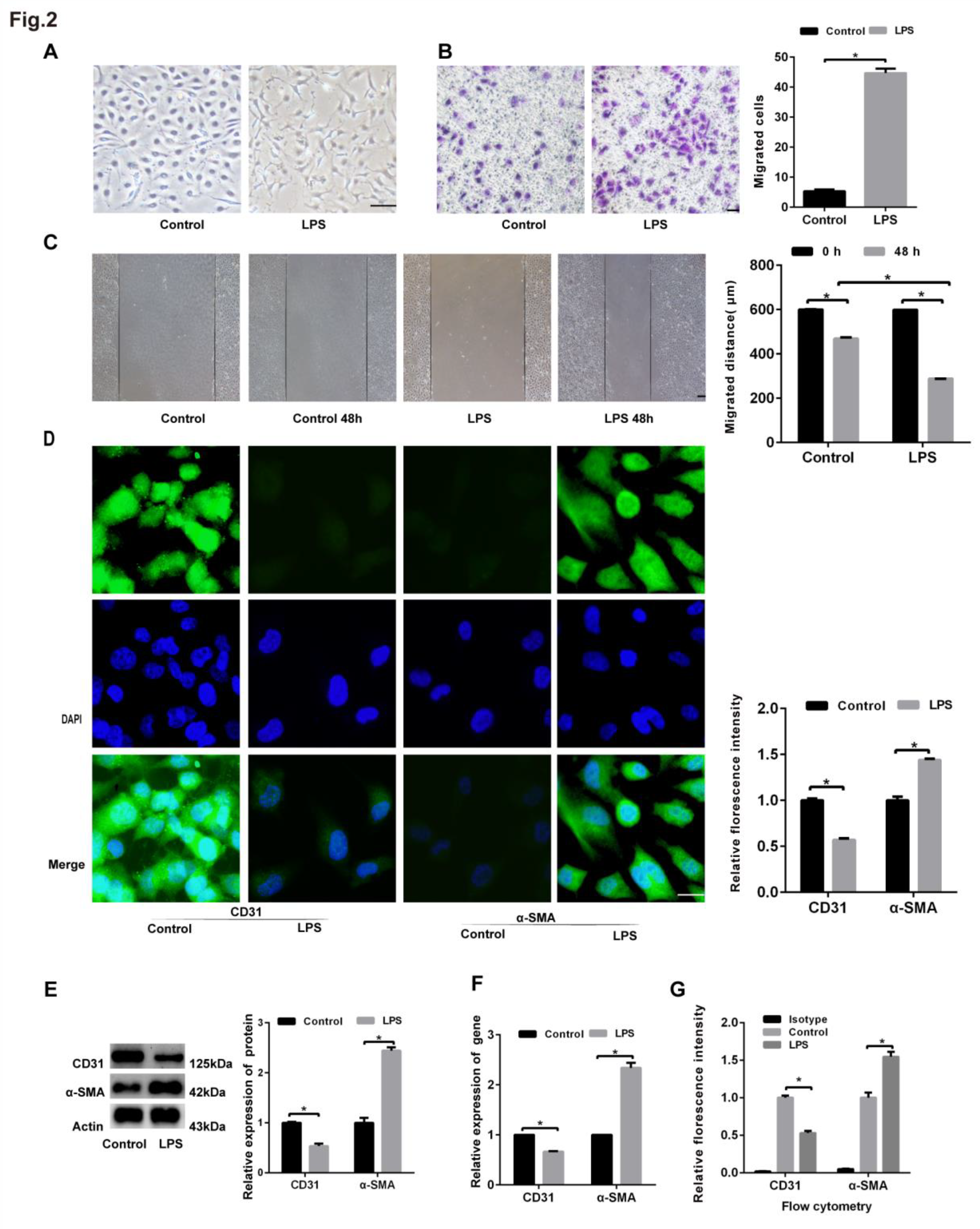 Preprints 72818 g002