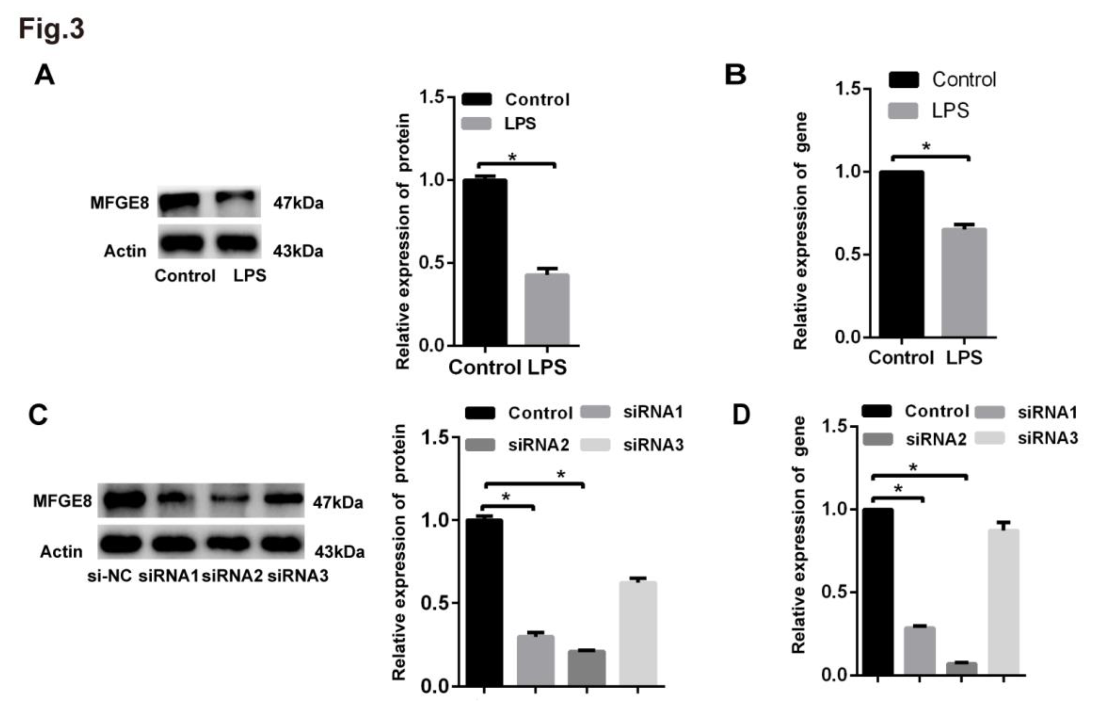 Preprints 72818 g003