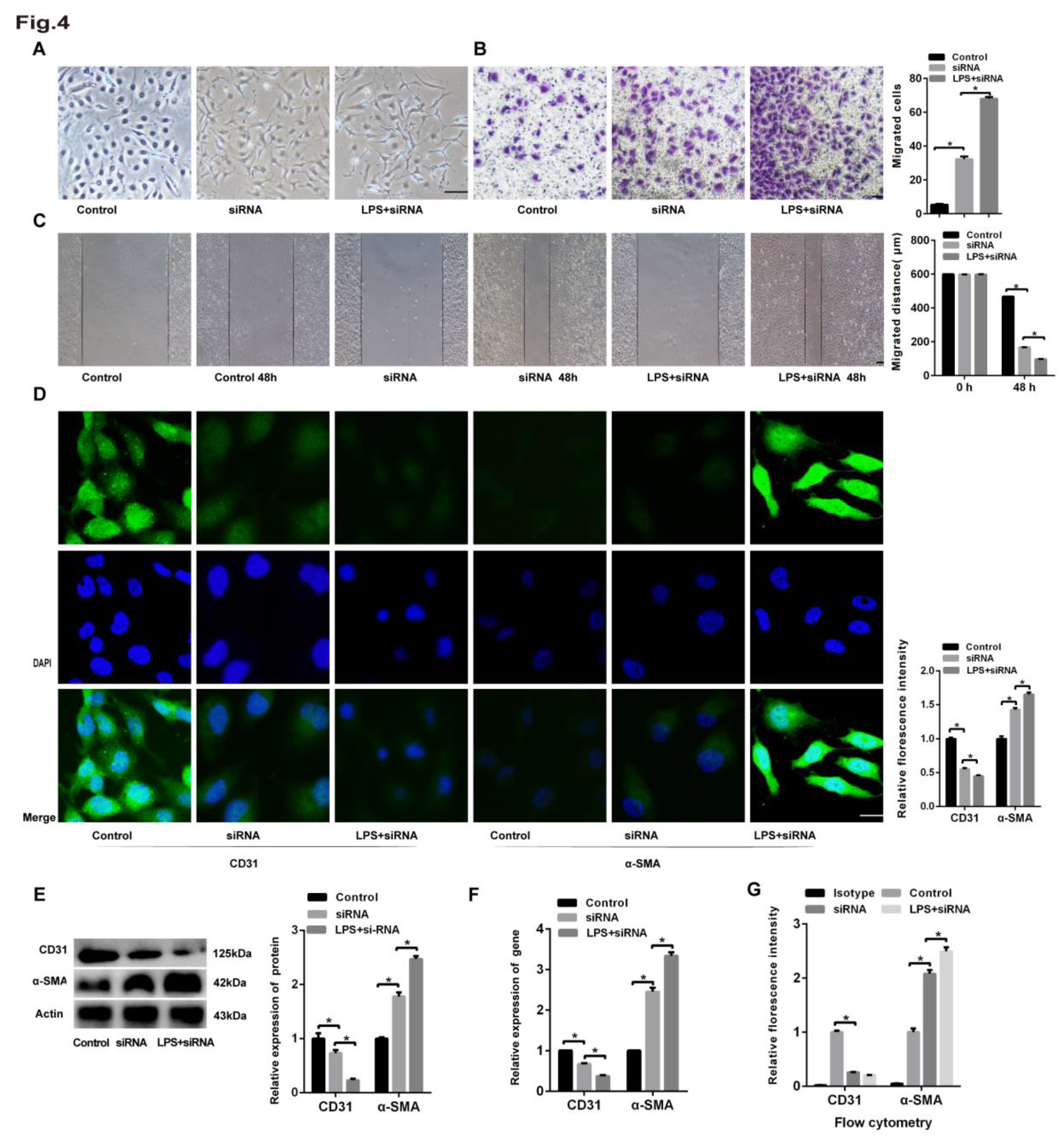 Preprints 72818 g004