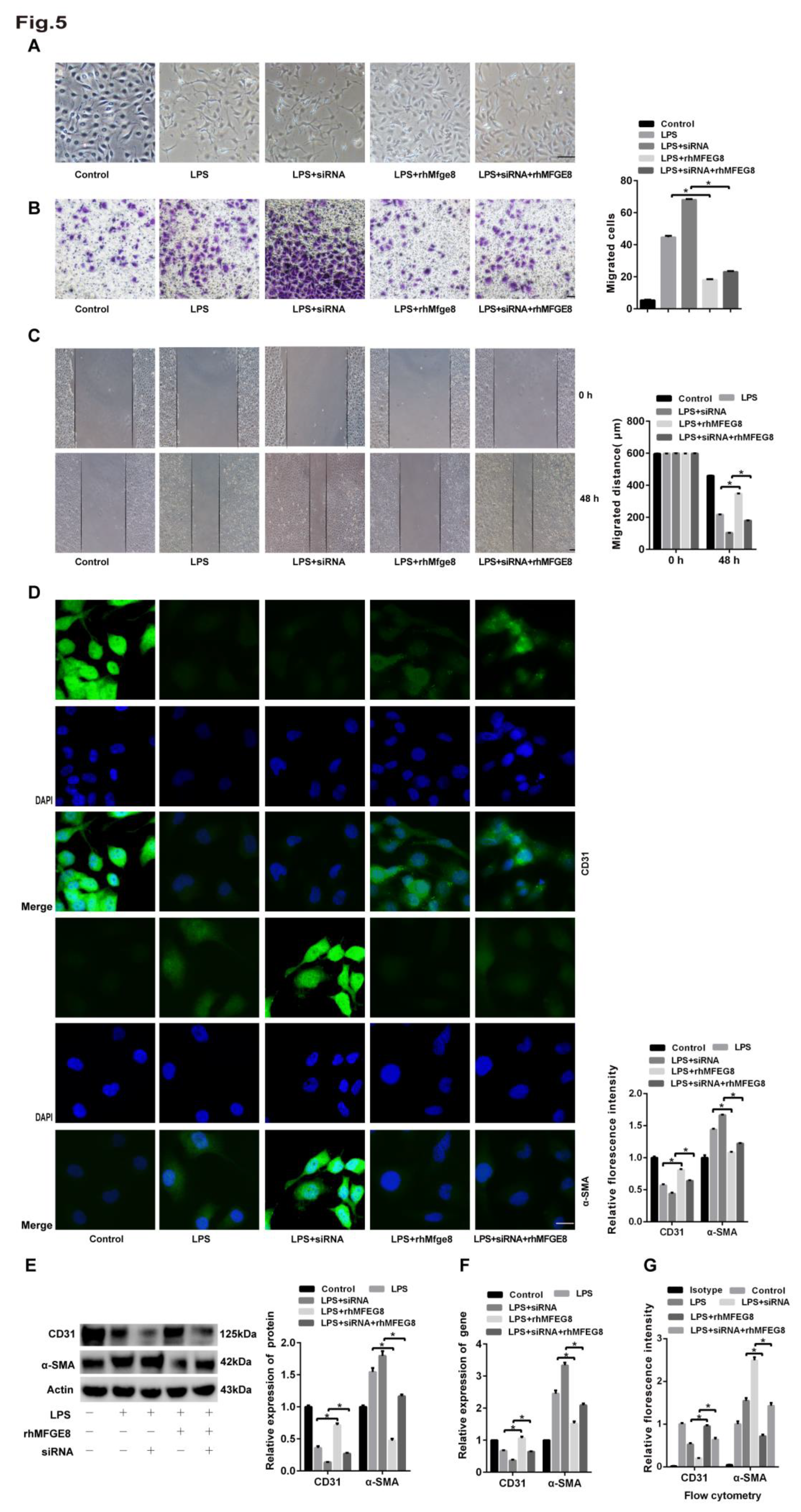 Preprints 72818 g005