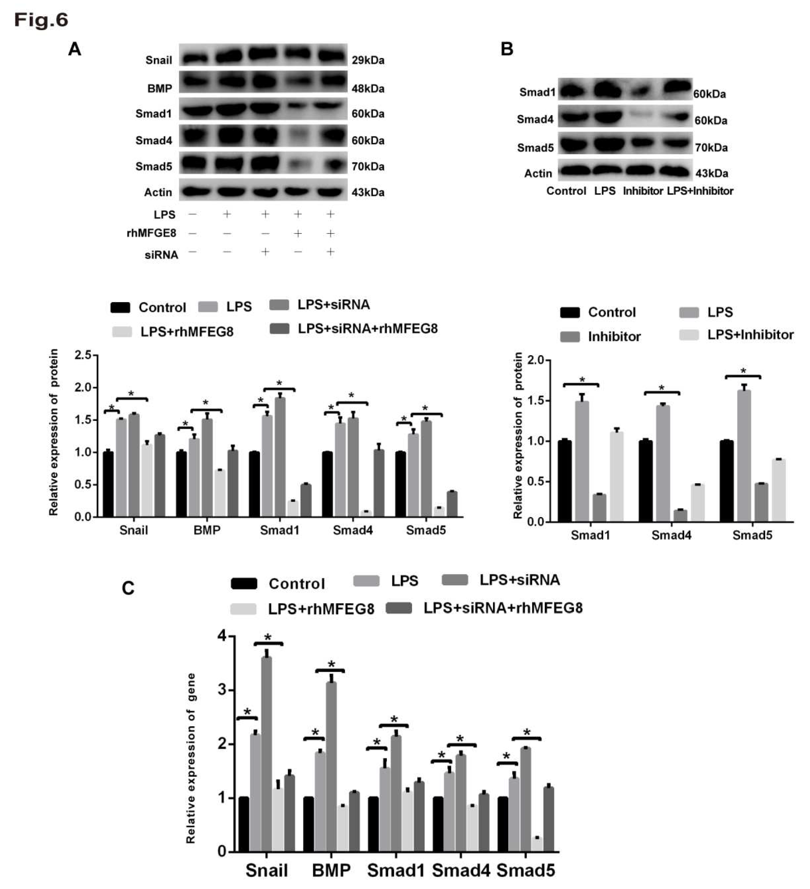 Preprints 72818 g006