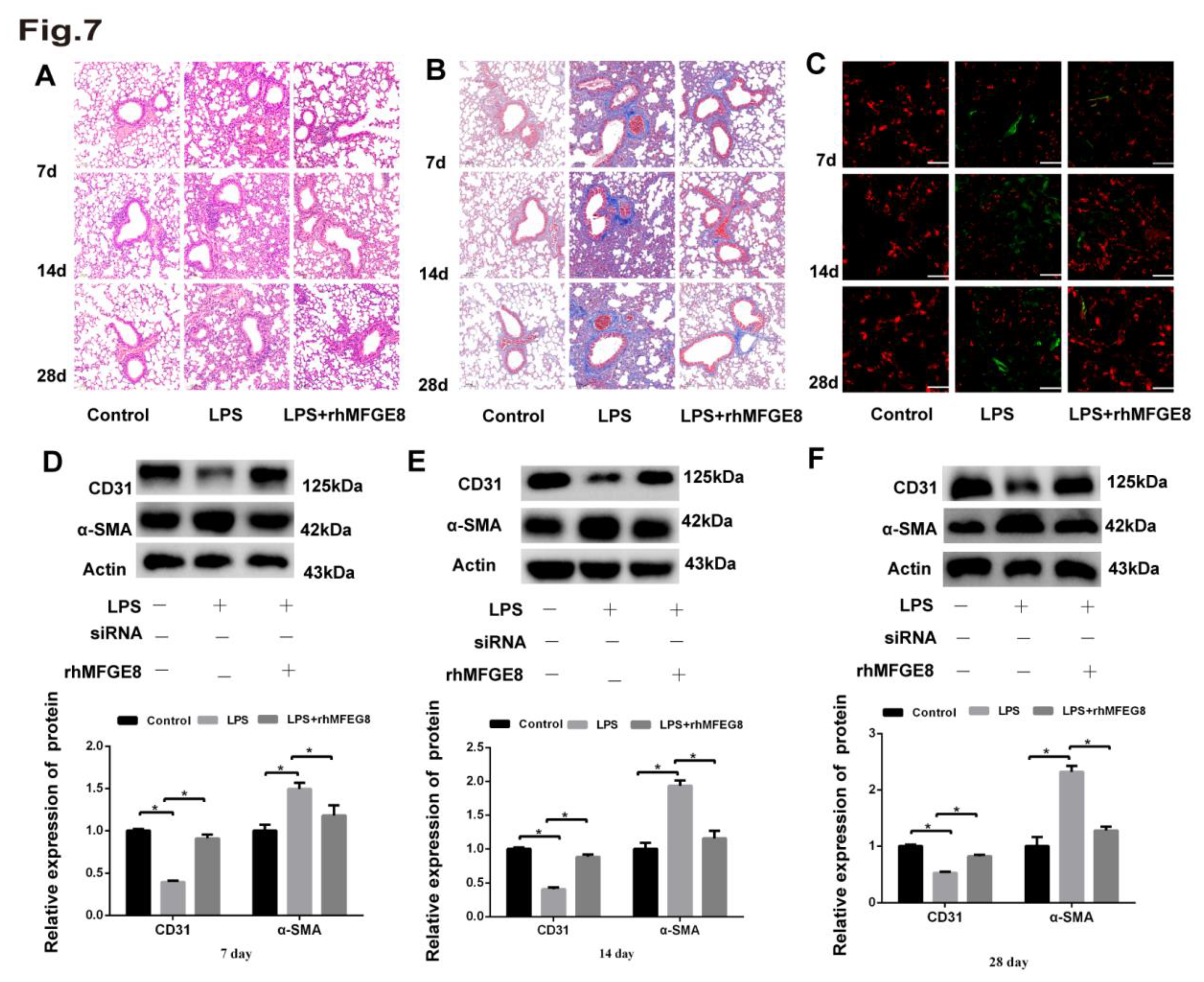 Preprints 72818 g007