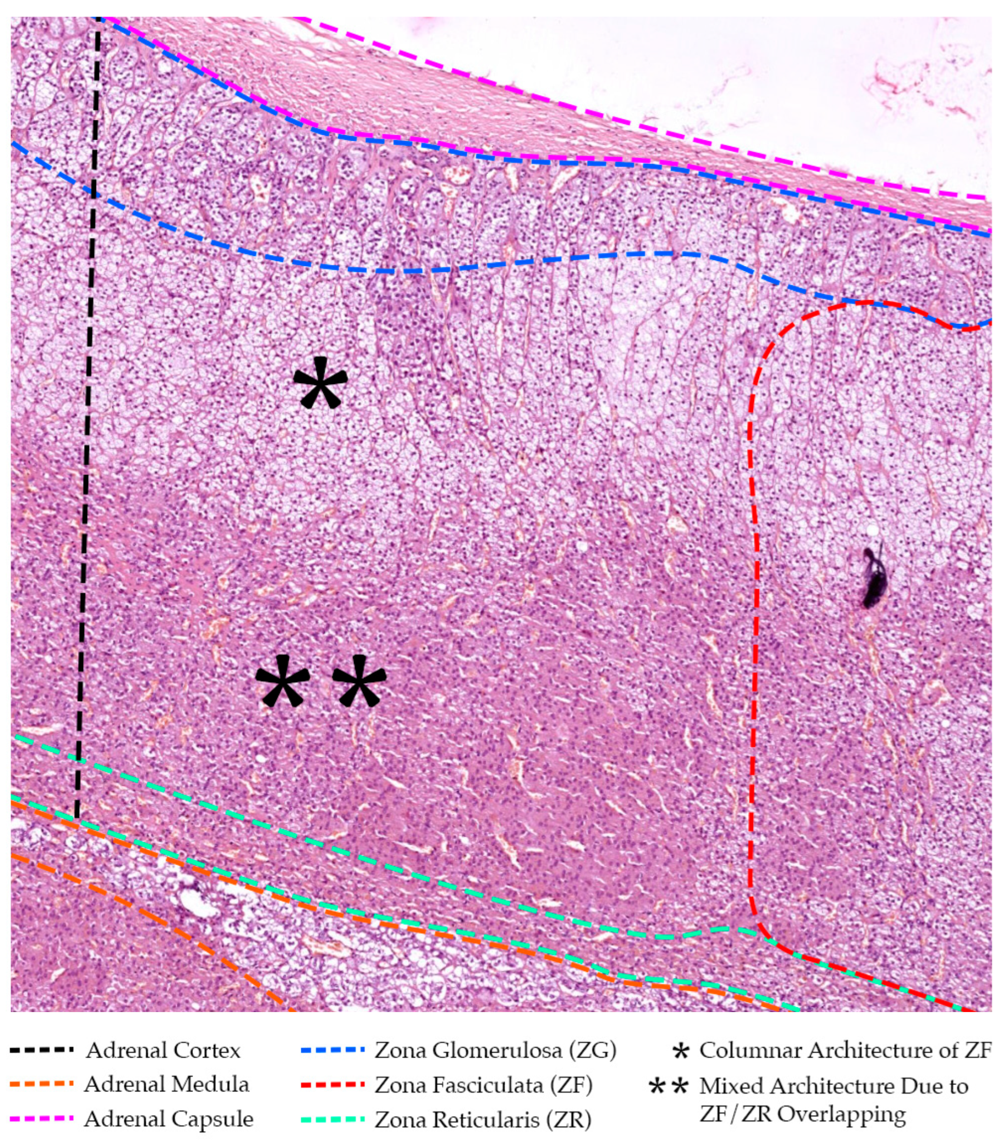 Preprints 119466 g001