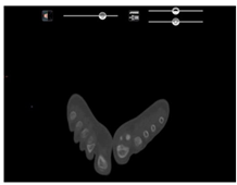 Preprints 102168 i005