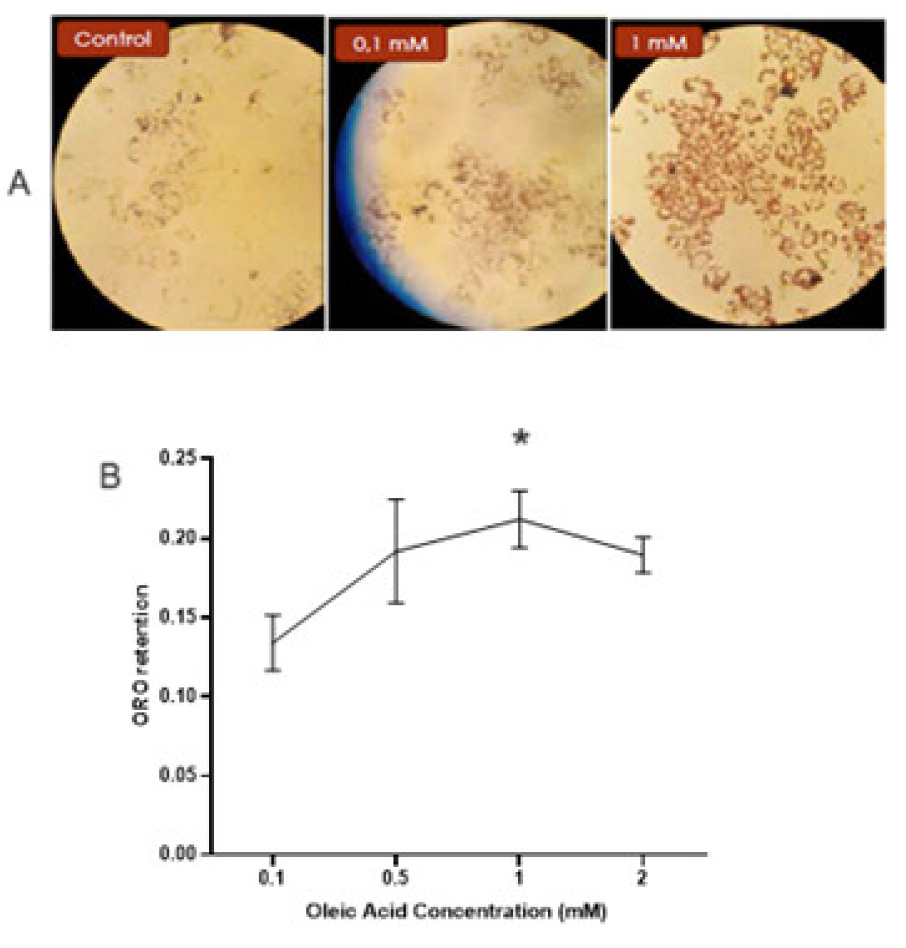 Preprints 120506 g004