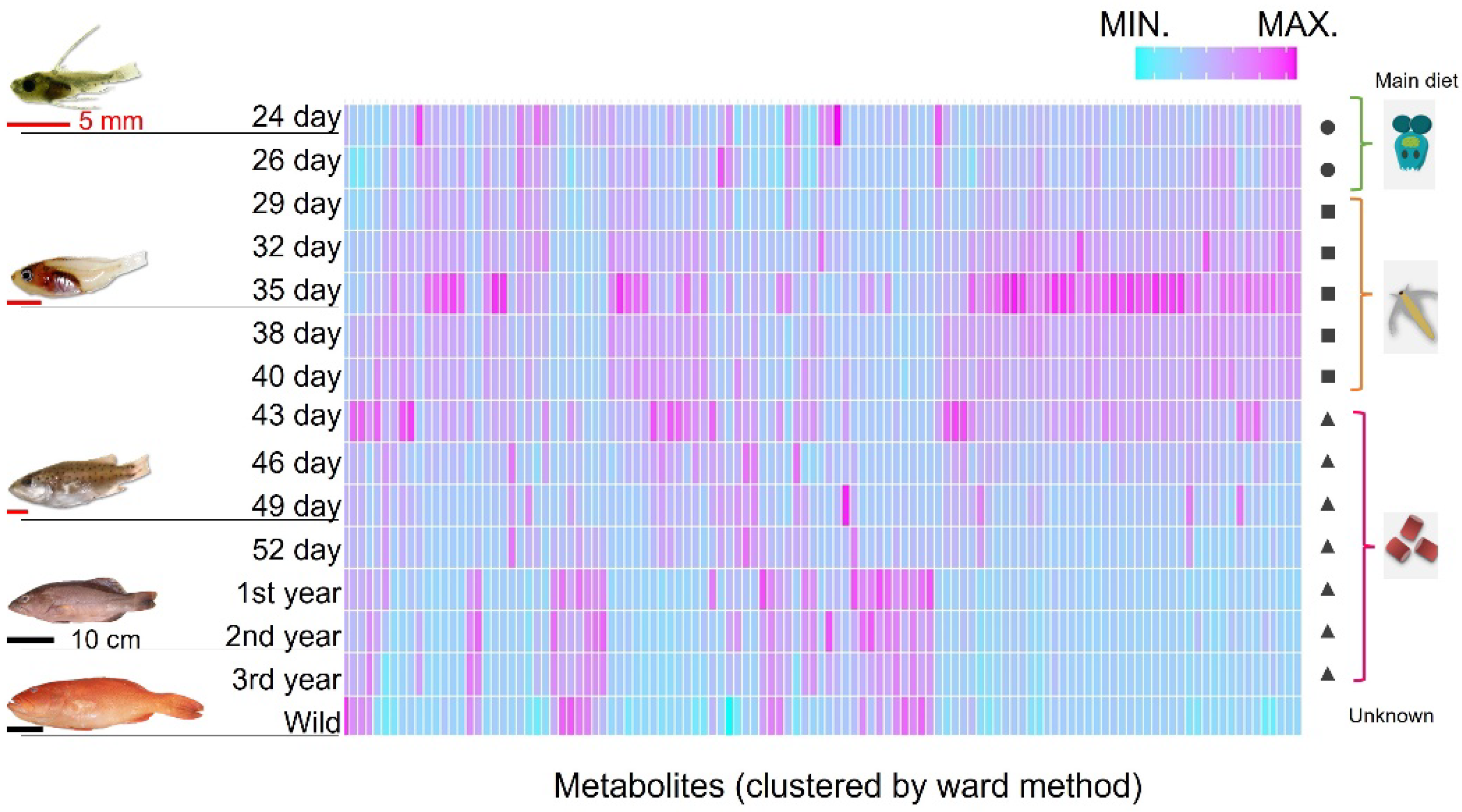 Preprints 109533 g002