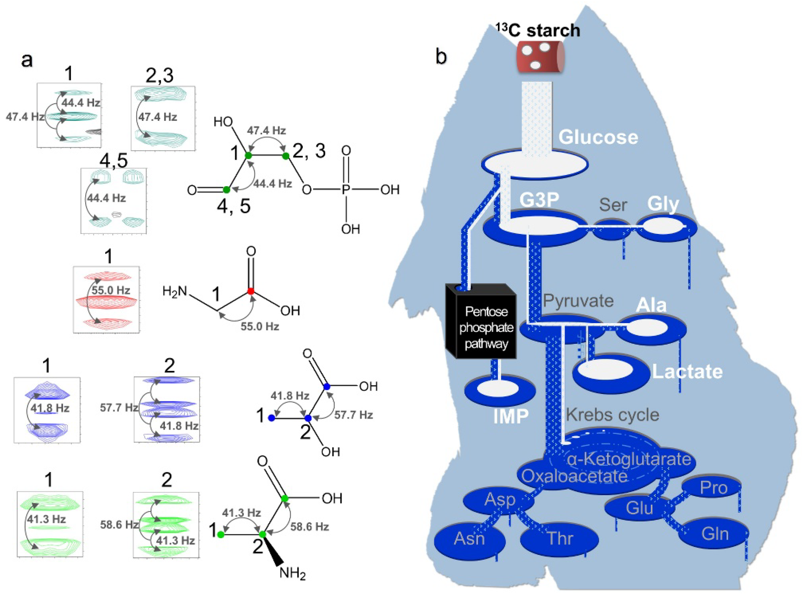 Preprints 109533 g006