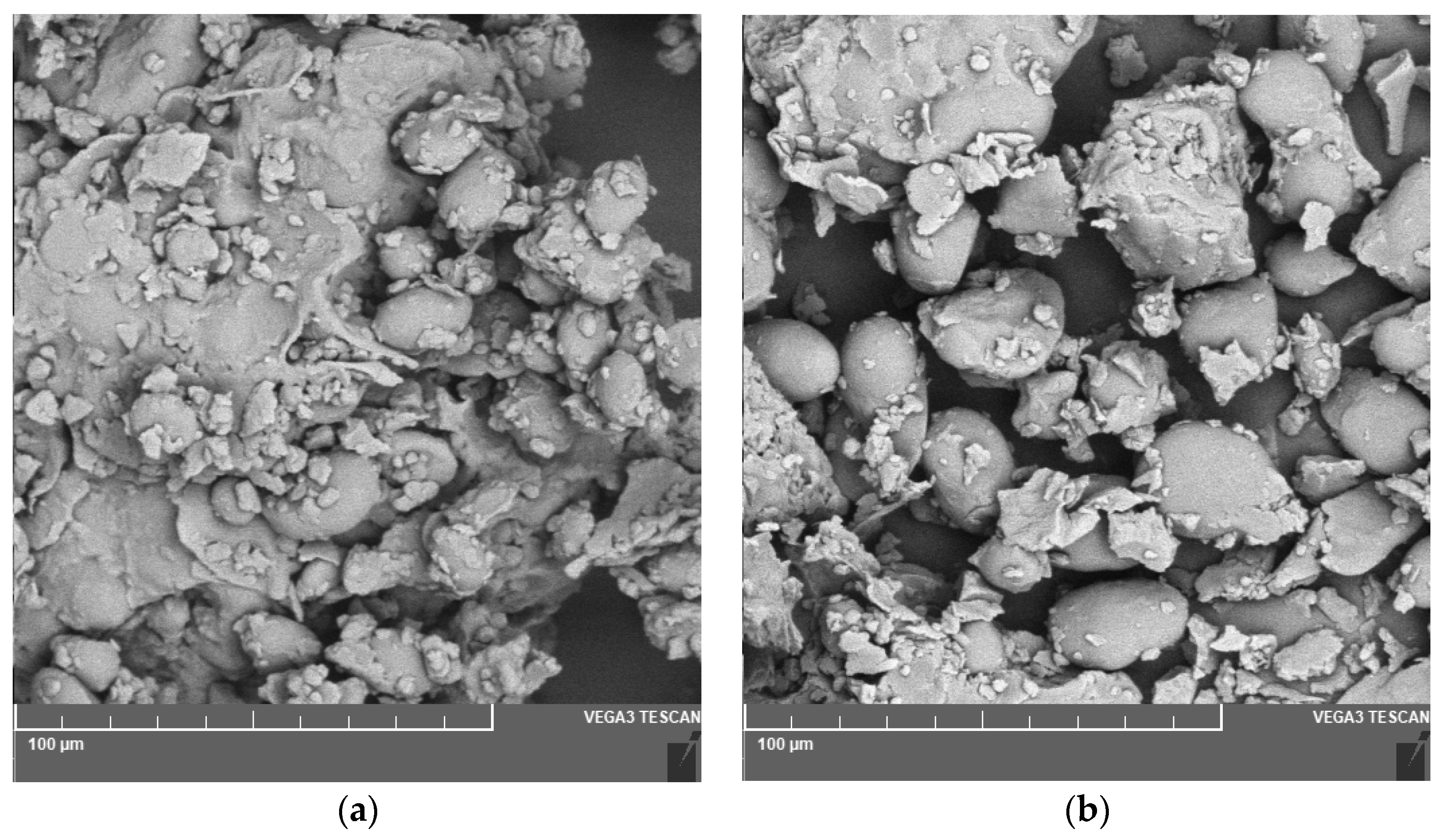 Preprints 105303 g001