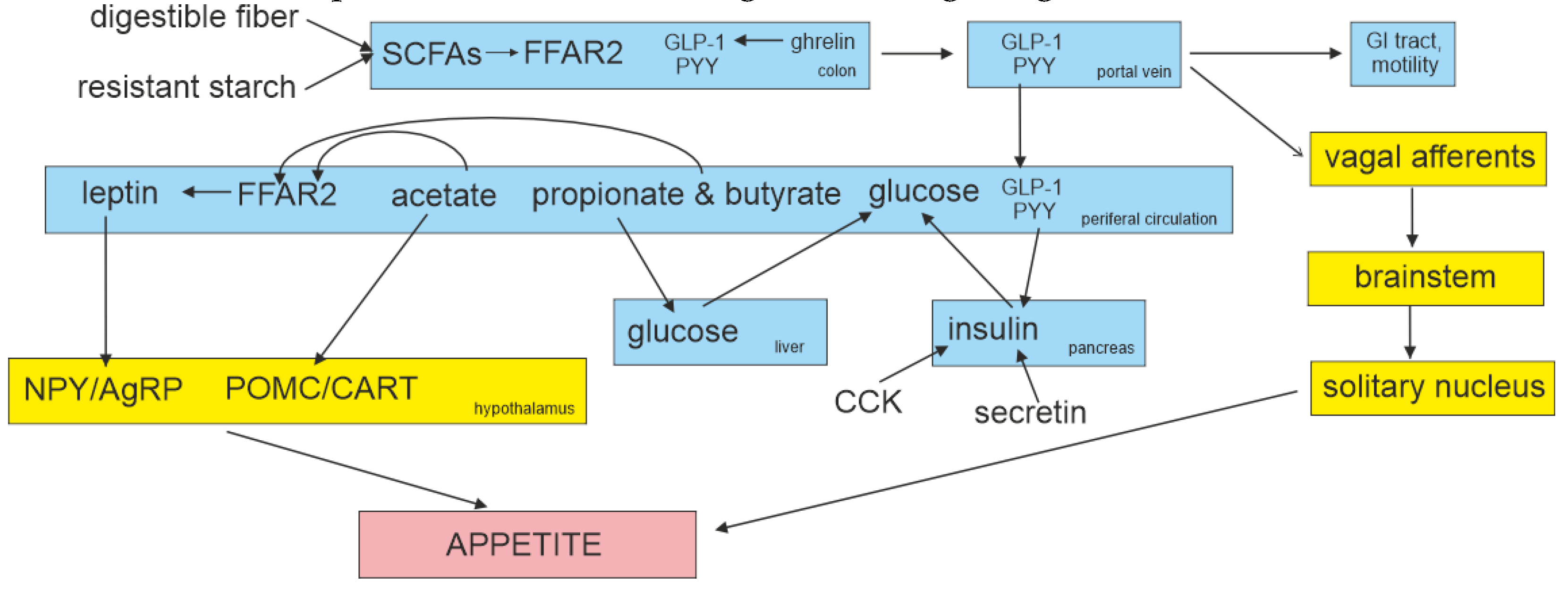 Preprints 105303 g004