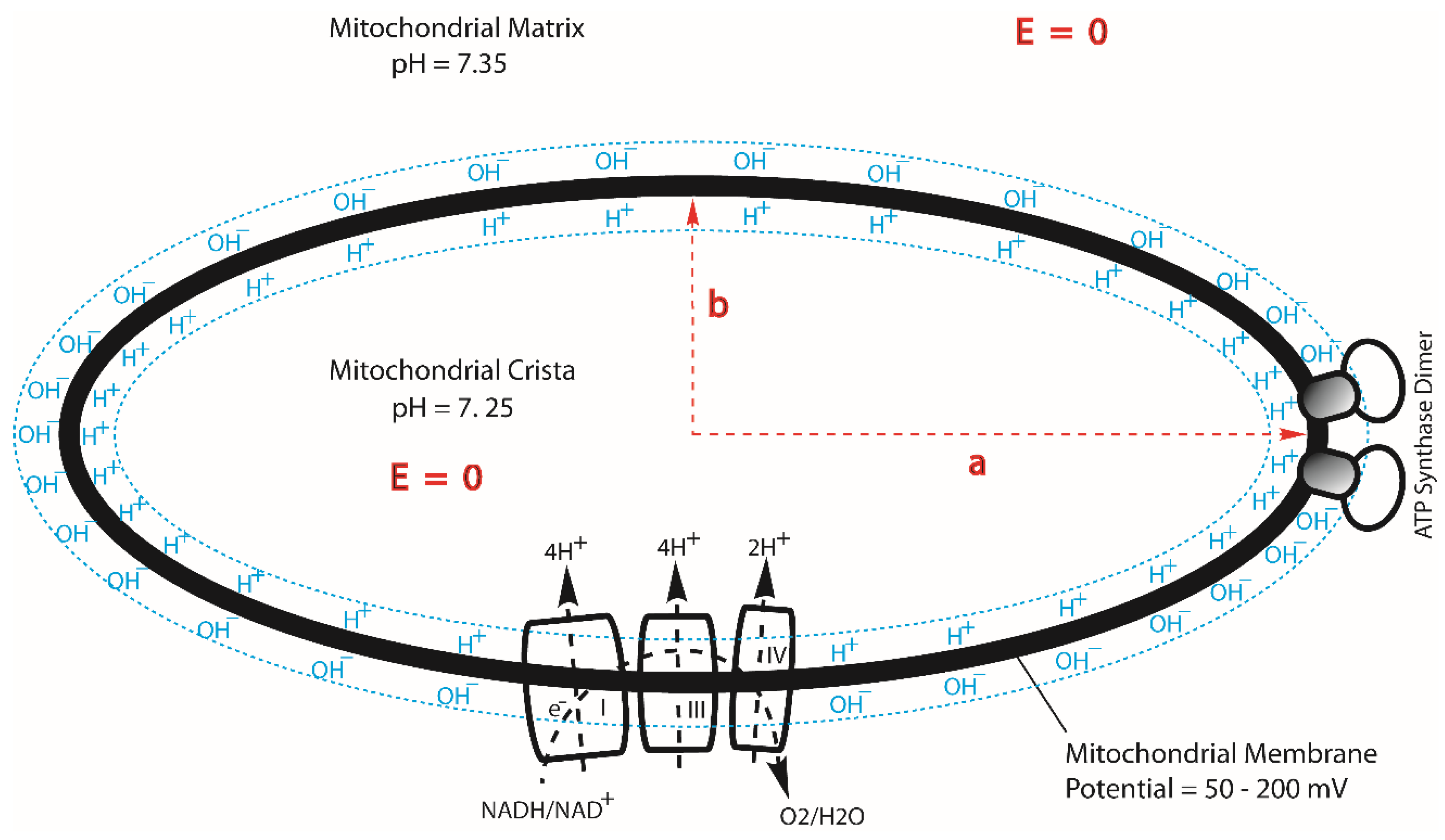 Preprints 104206 g003