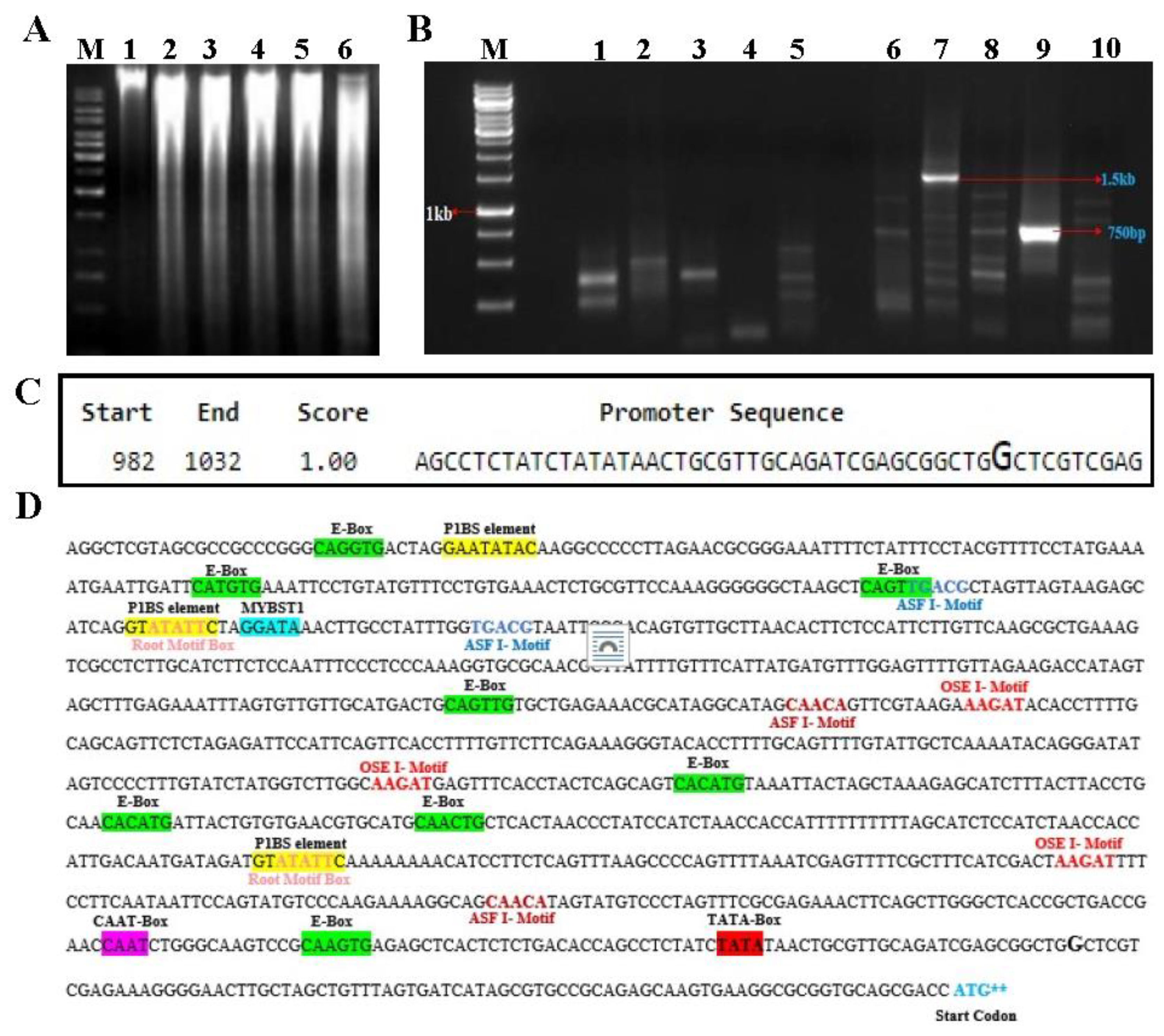 Preprints 86835 g005