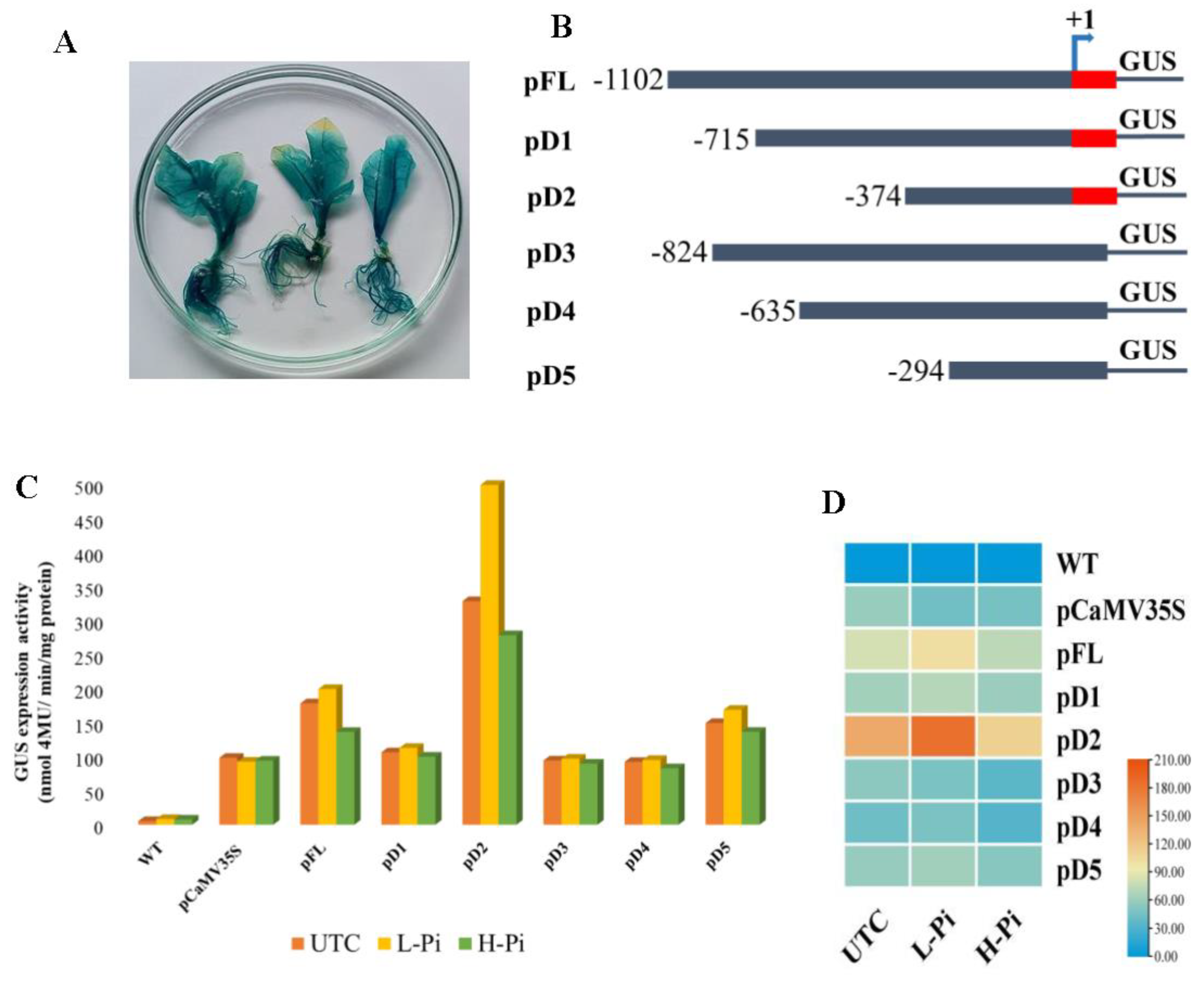 Preprints 86835 g006