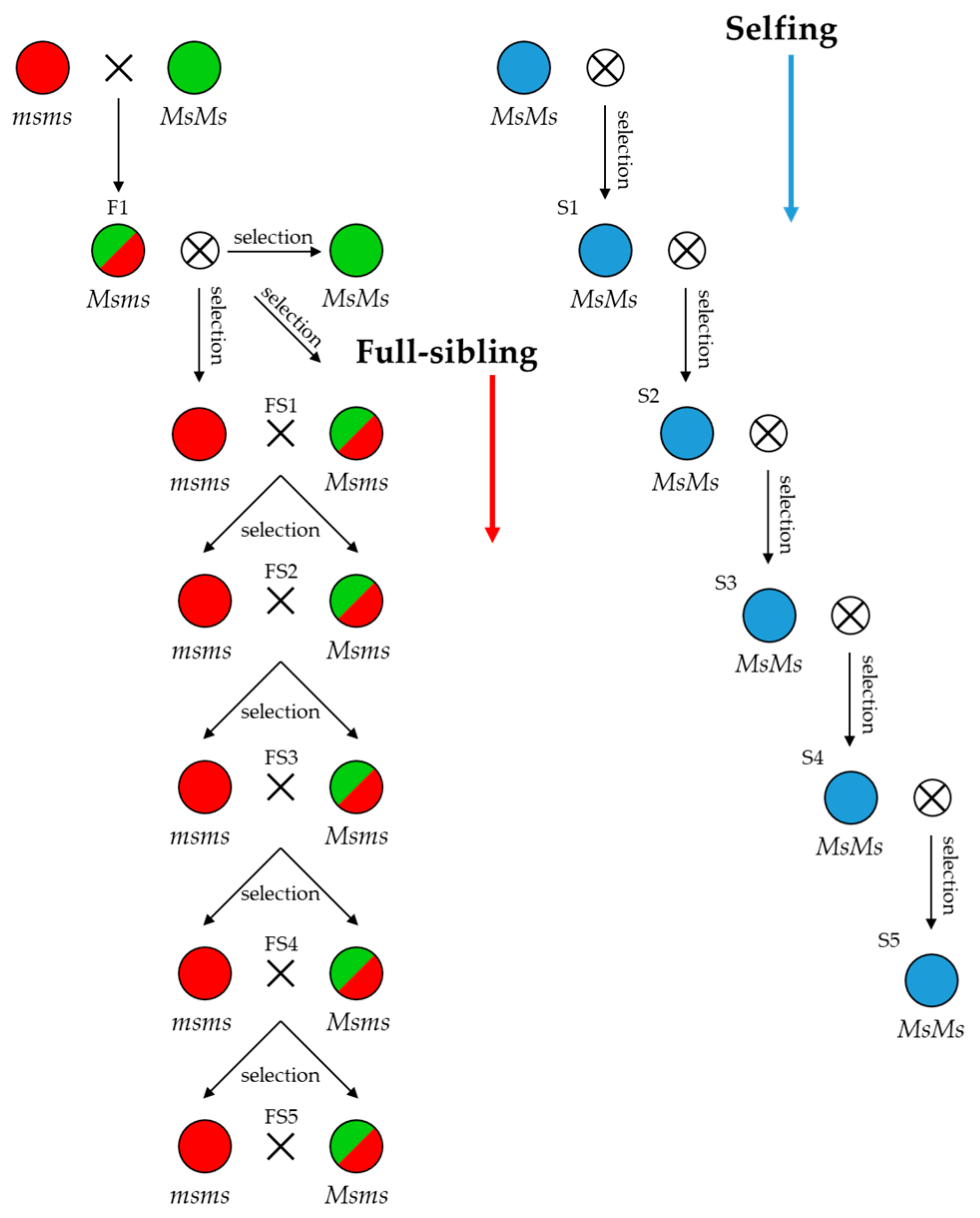 Preprints 68443 g001