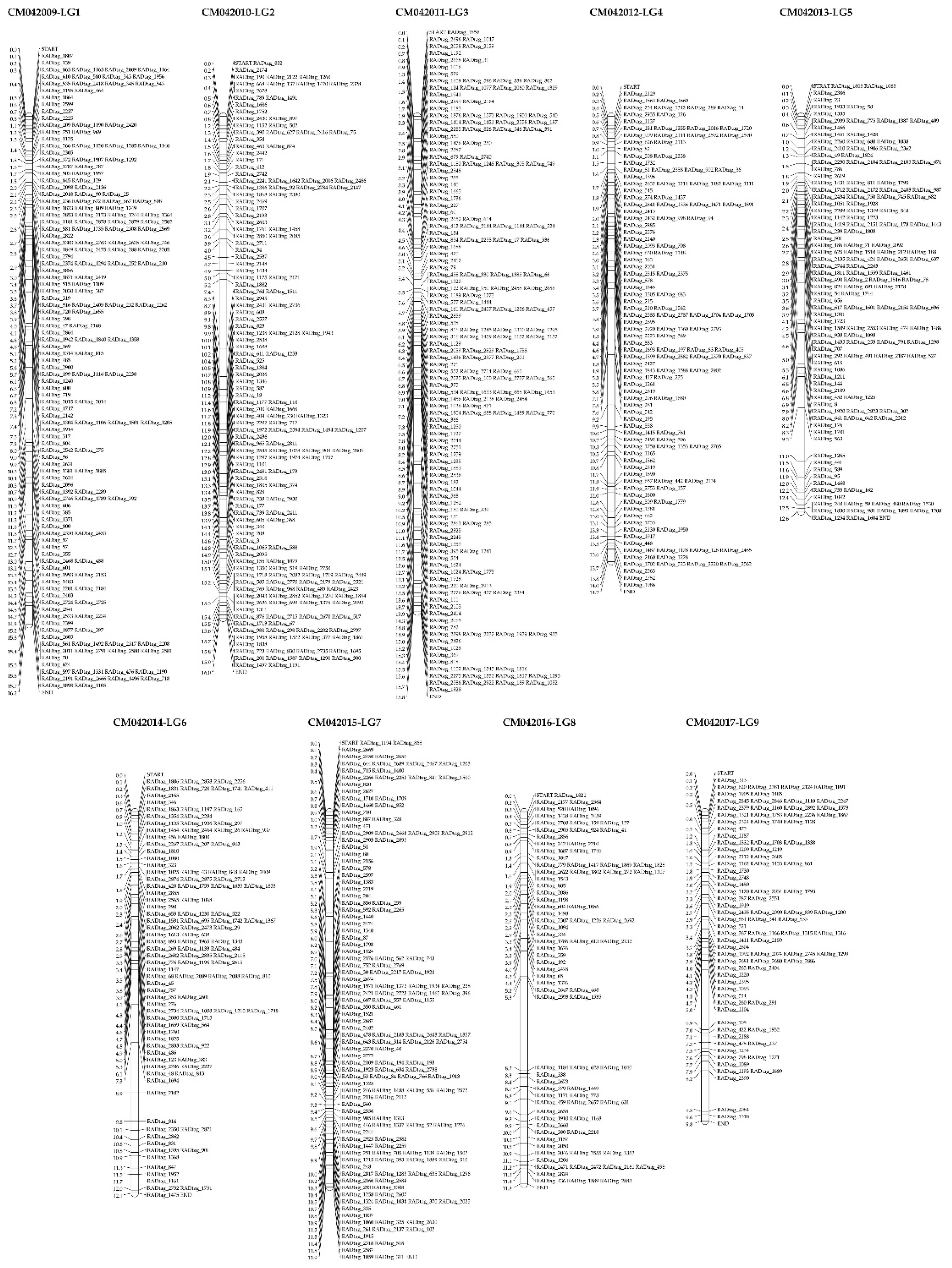 Preprints 68443 g006