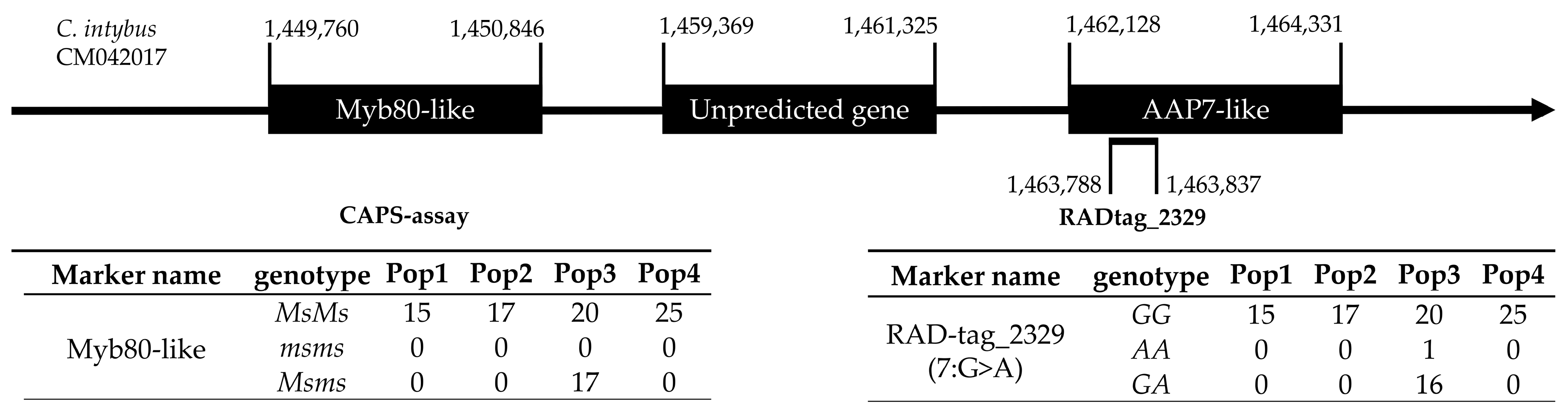 Preprints 68443 g008