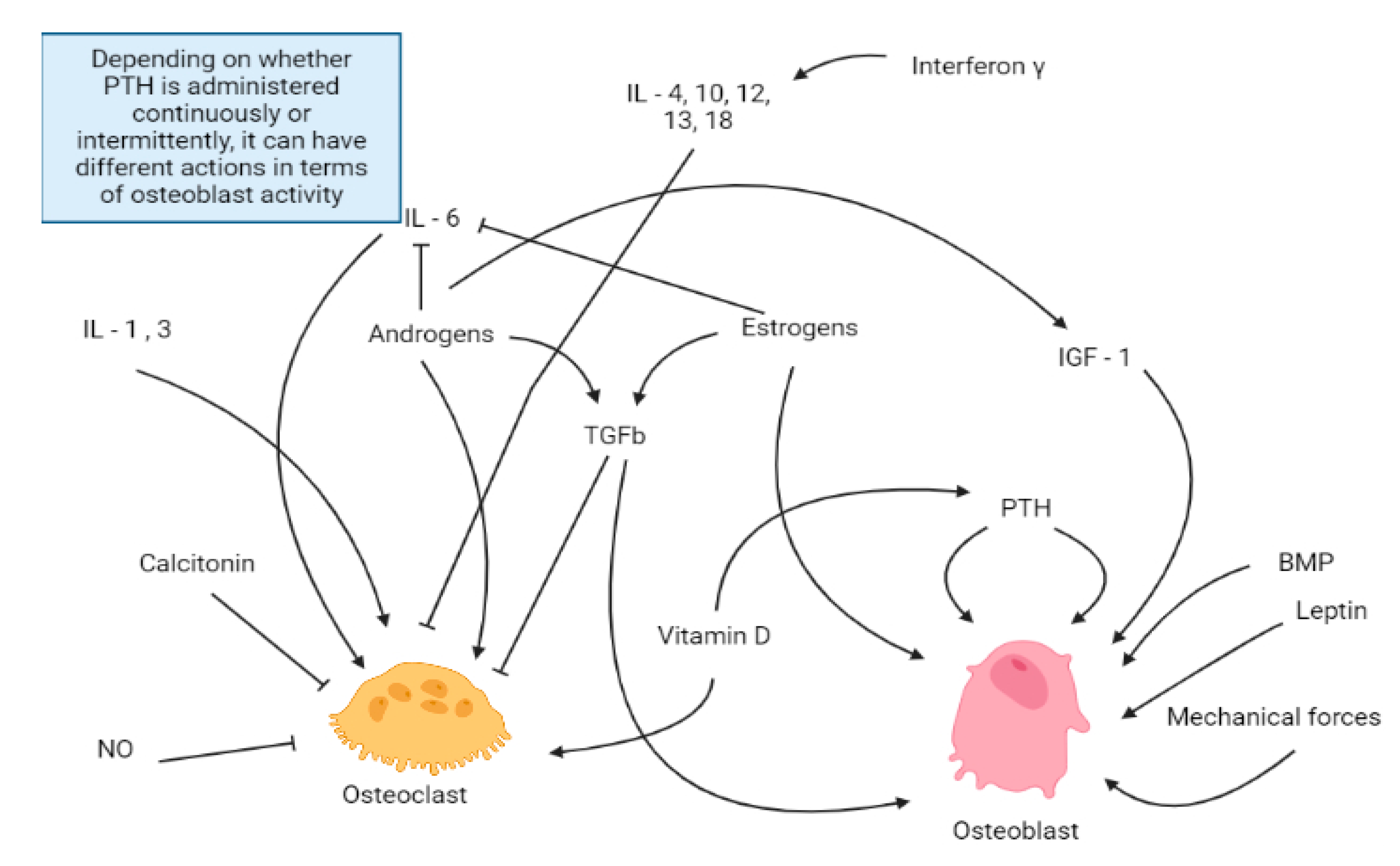 Preprints 141206 g002