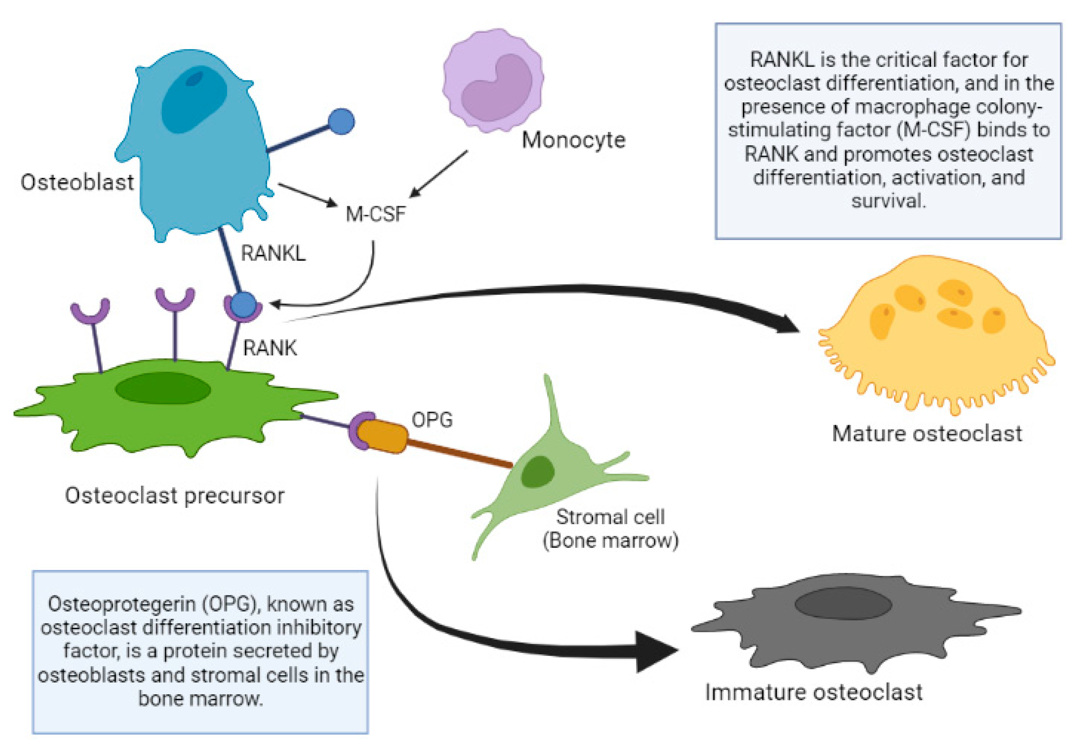 Preprints 141206 g003