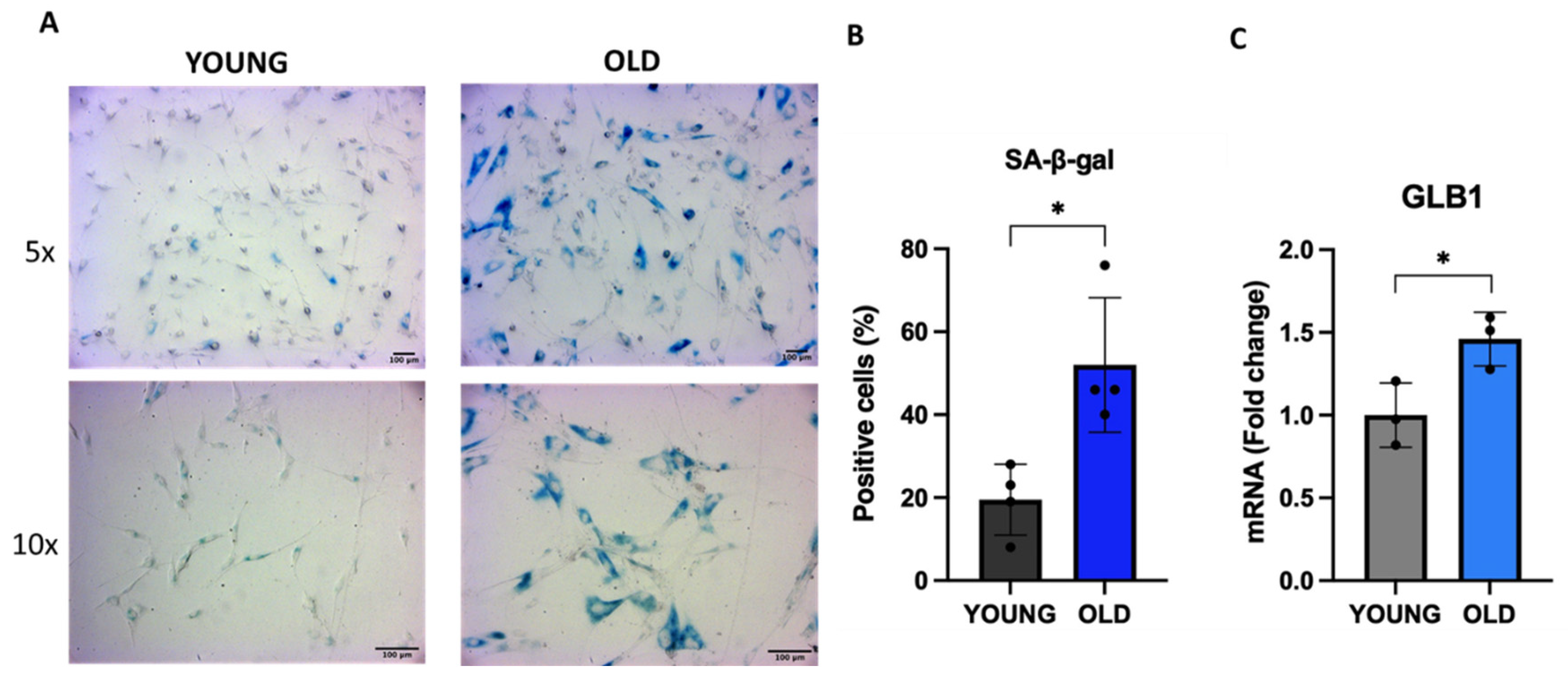 Preprints 80326 g001