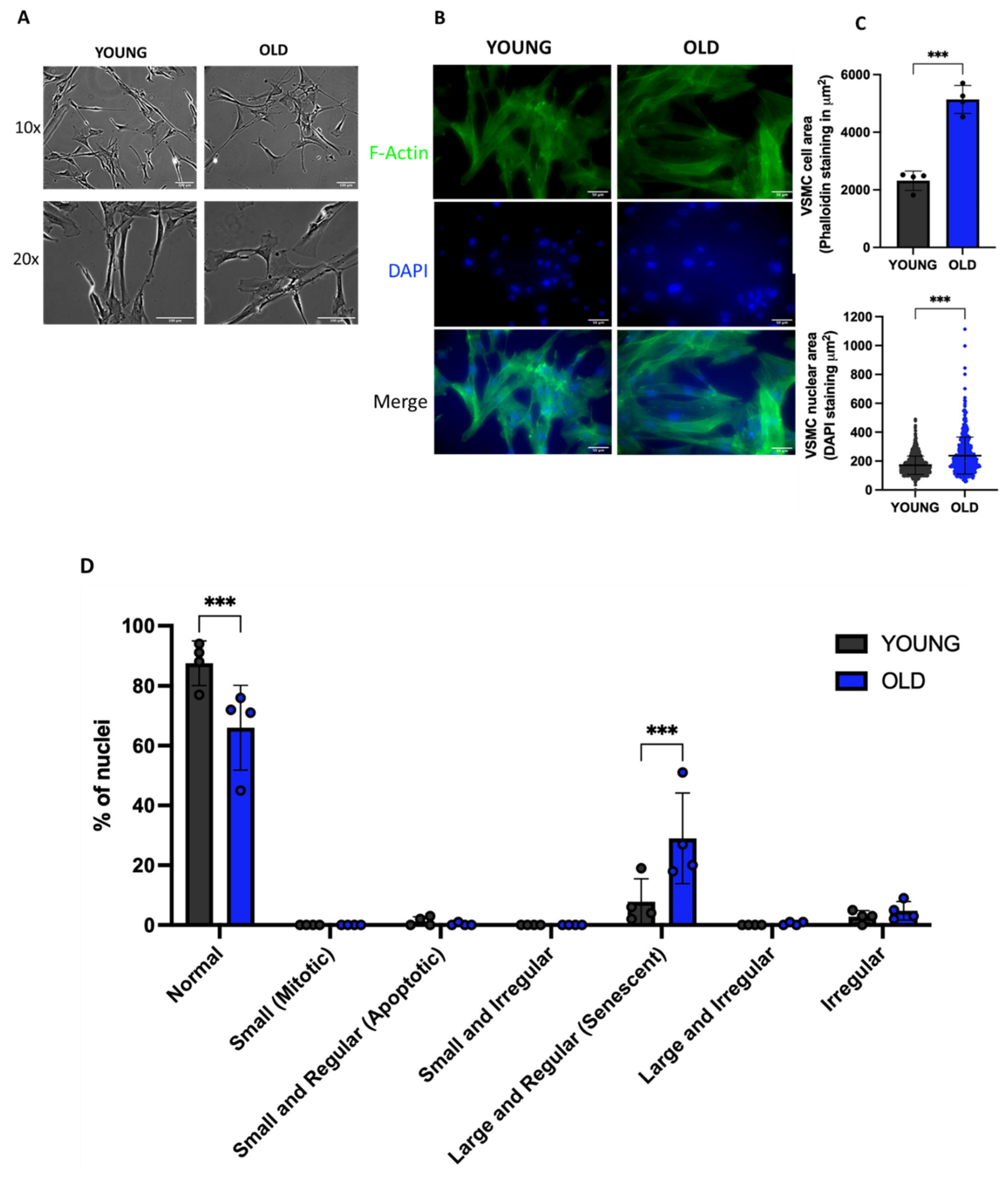 Preprints 80326 g002