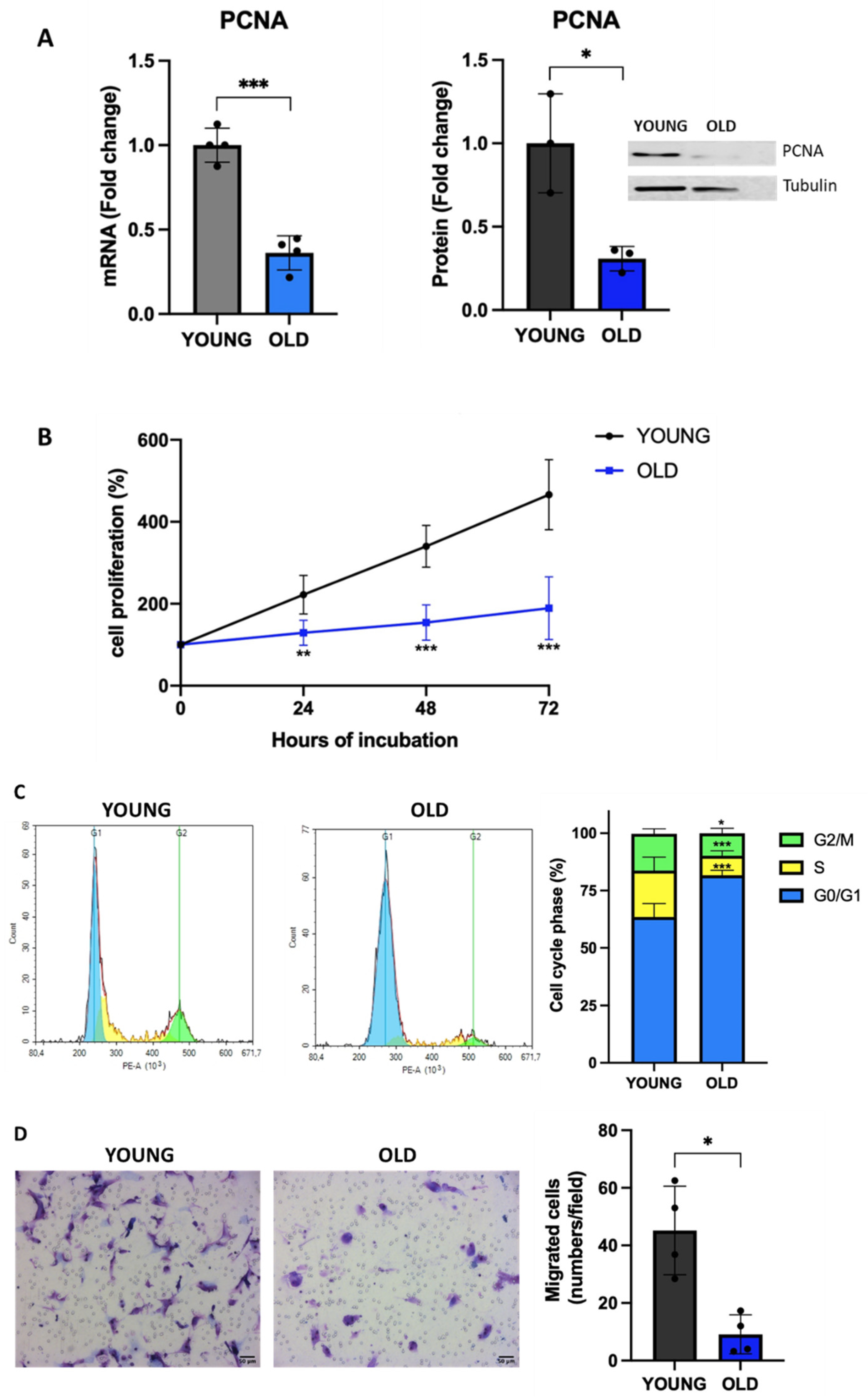 Preprints 80326 g003