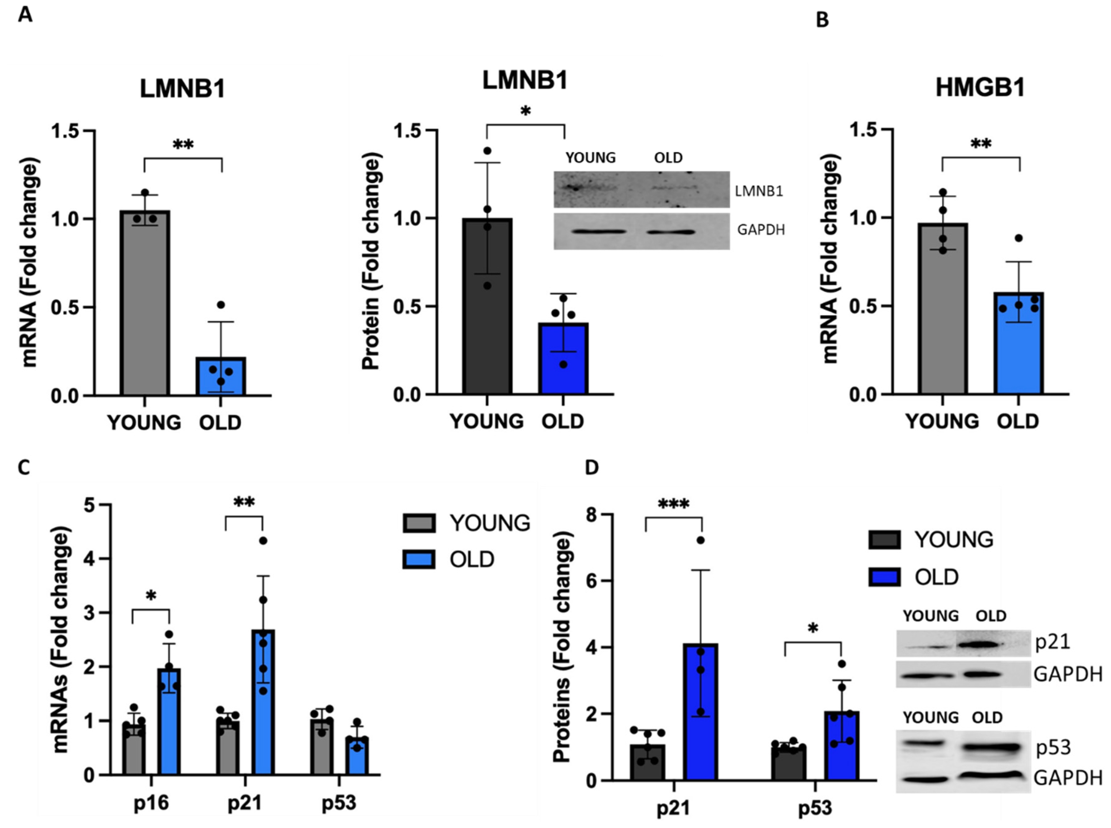 Preprints 80326 g004