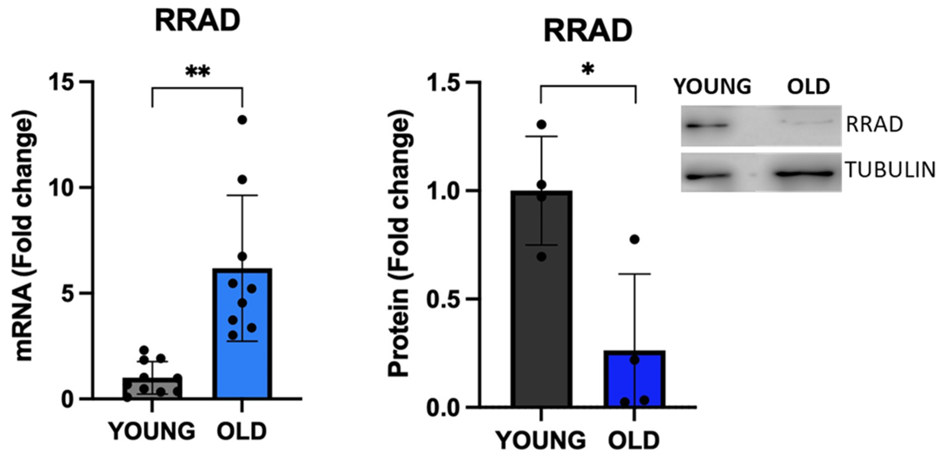 Preprints 80326 g005