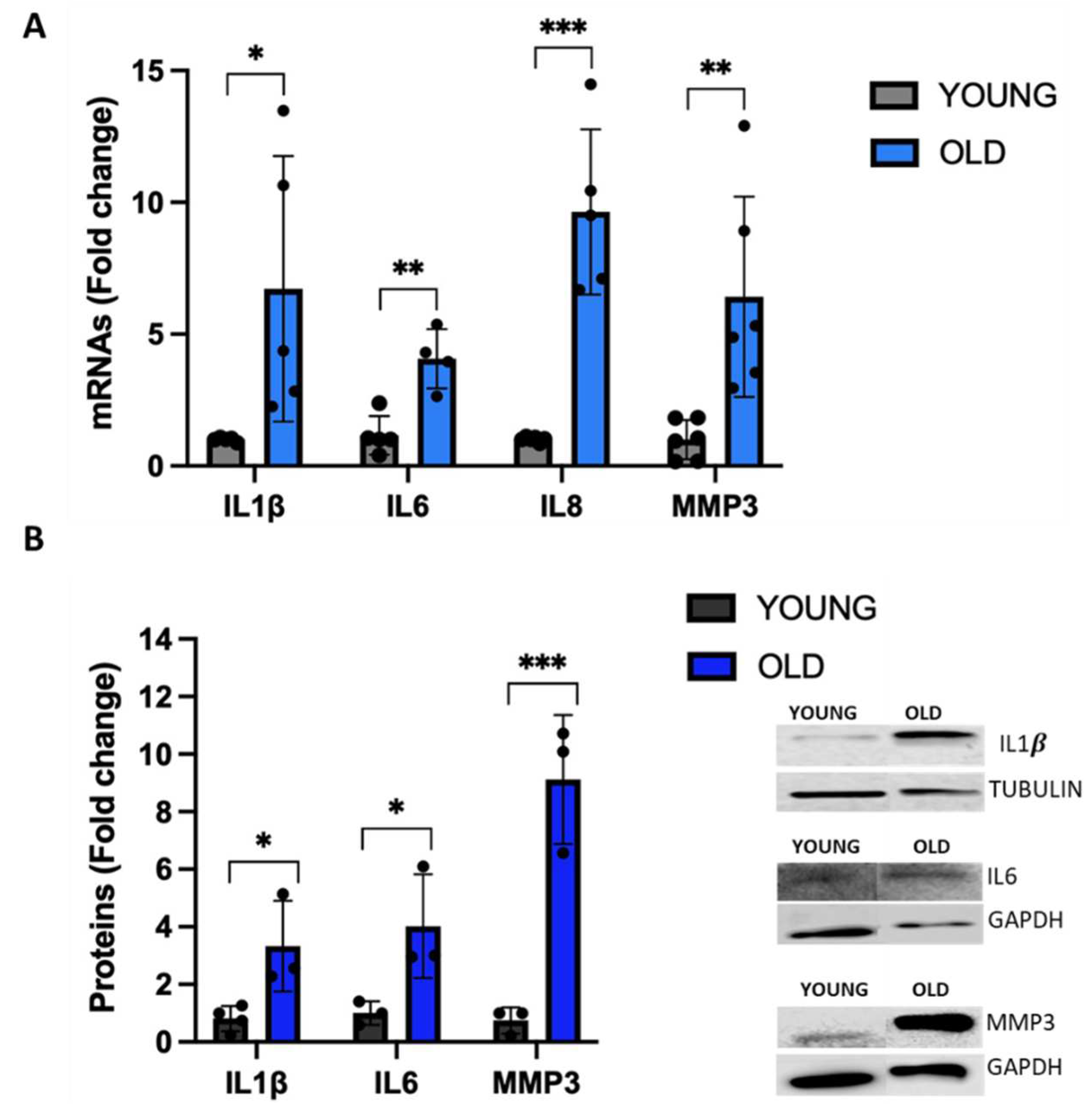 Preprints 80326 g006