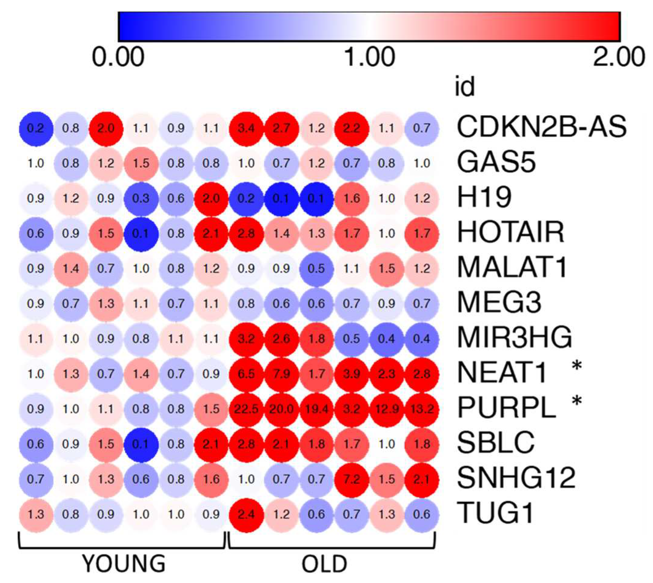 Preprints 80326 g007