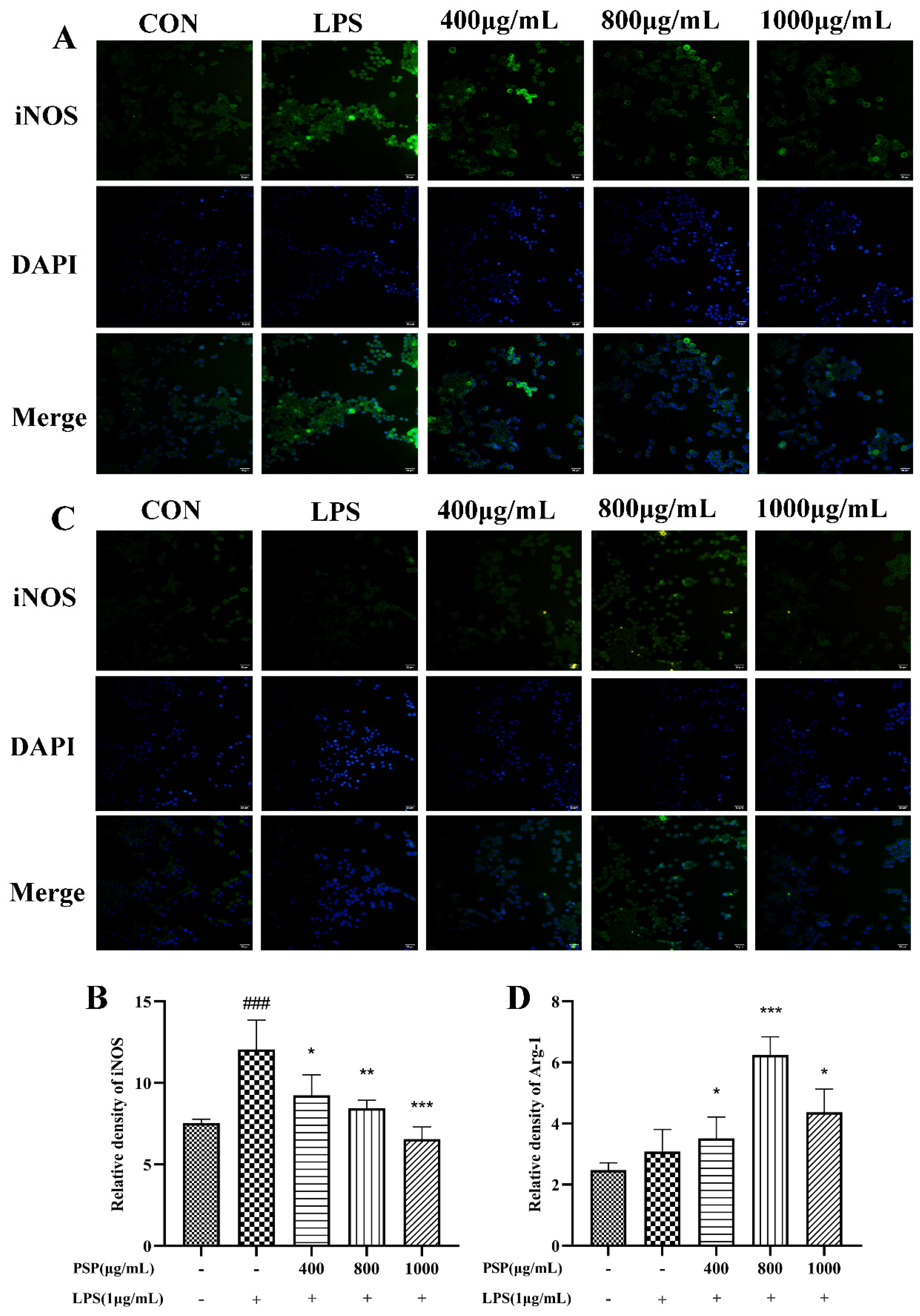 Preprints 94030 g005