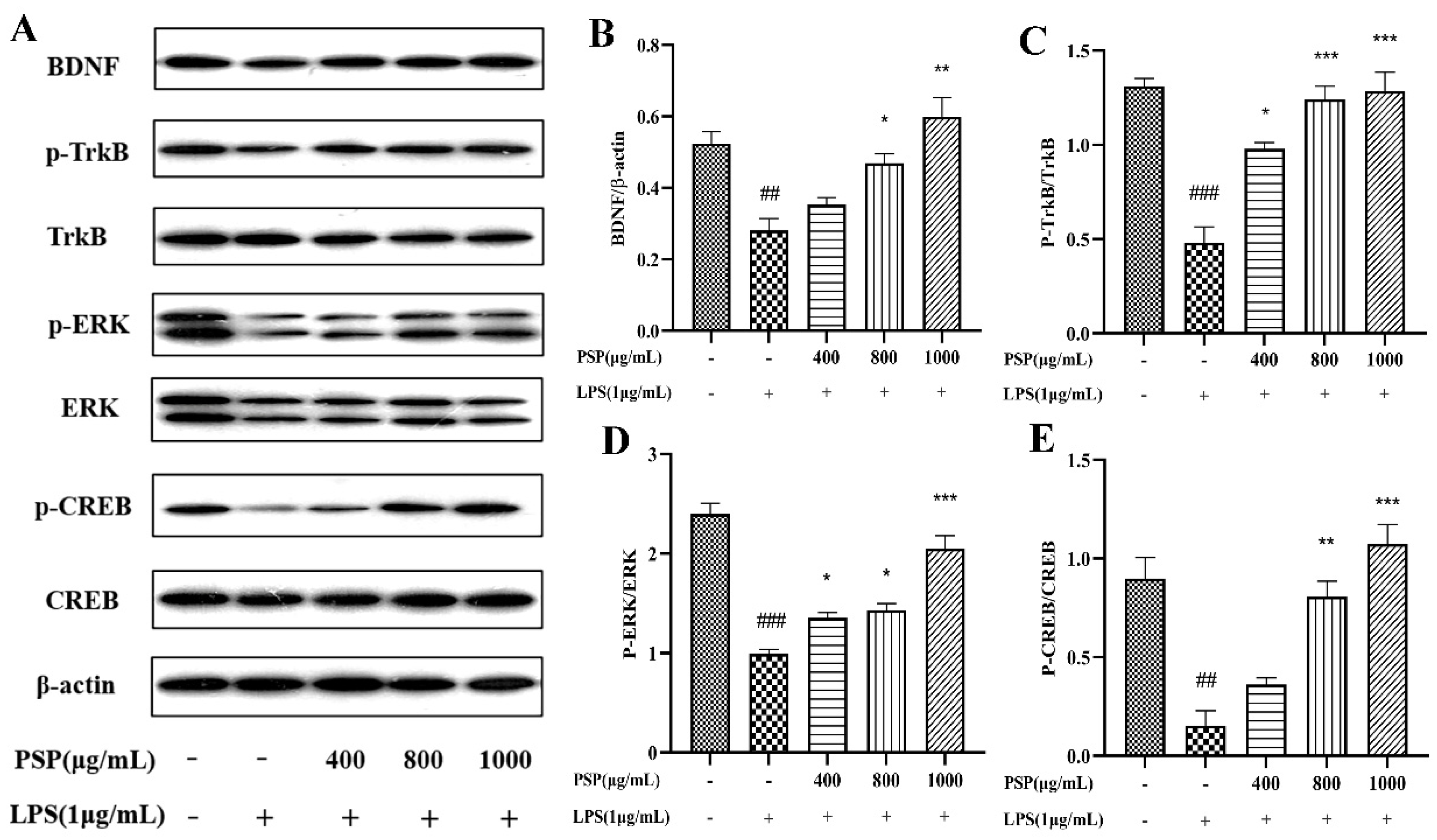 Preprints 94030 g006