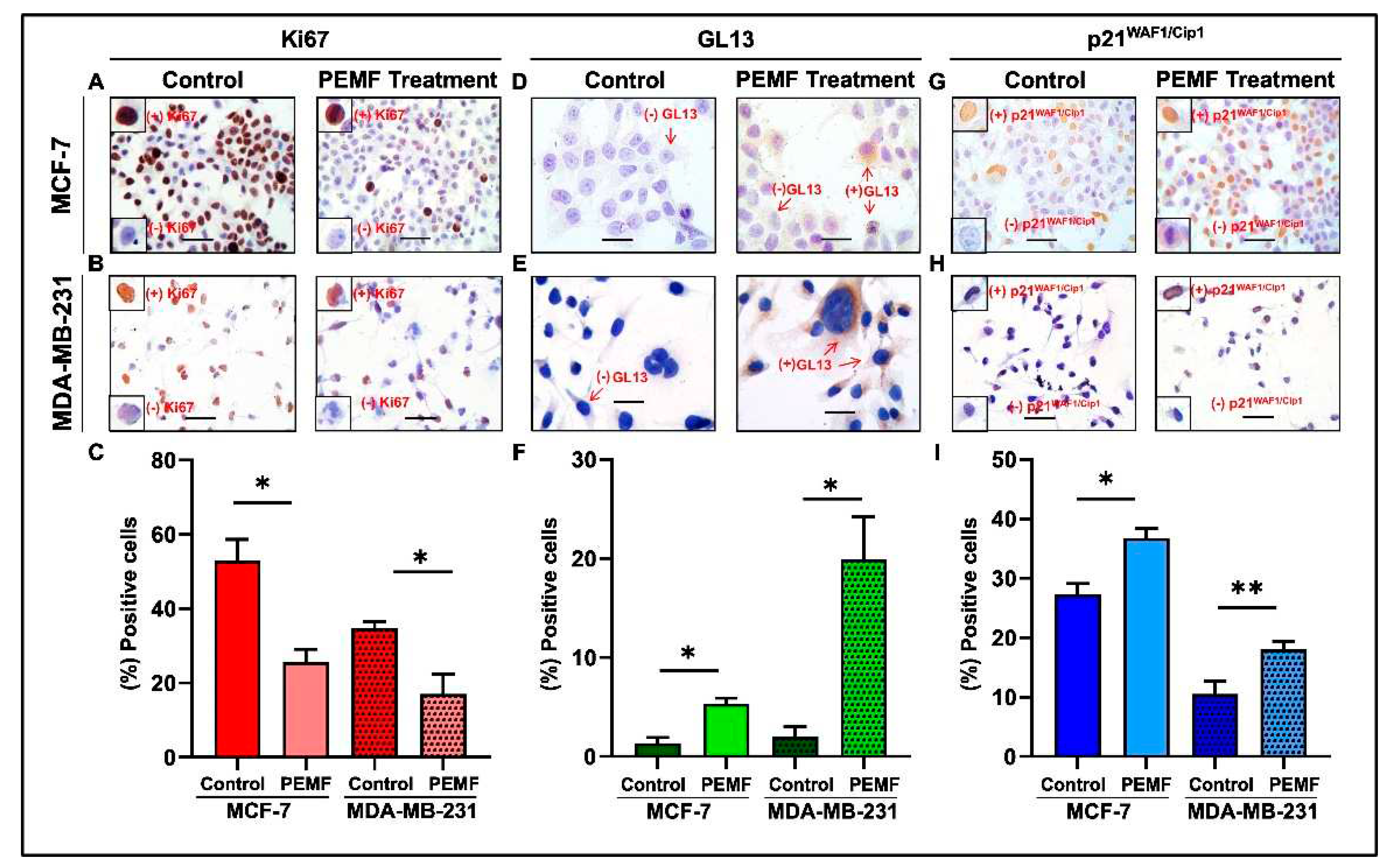 Preprints 97192 g004