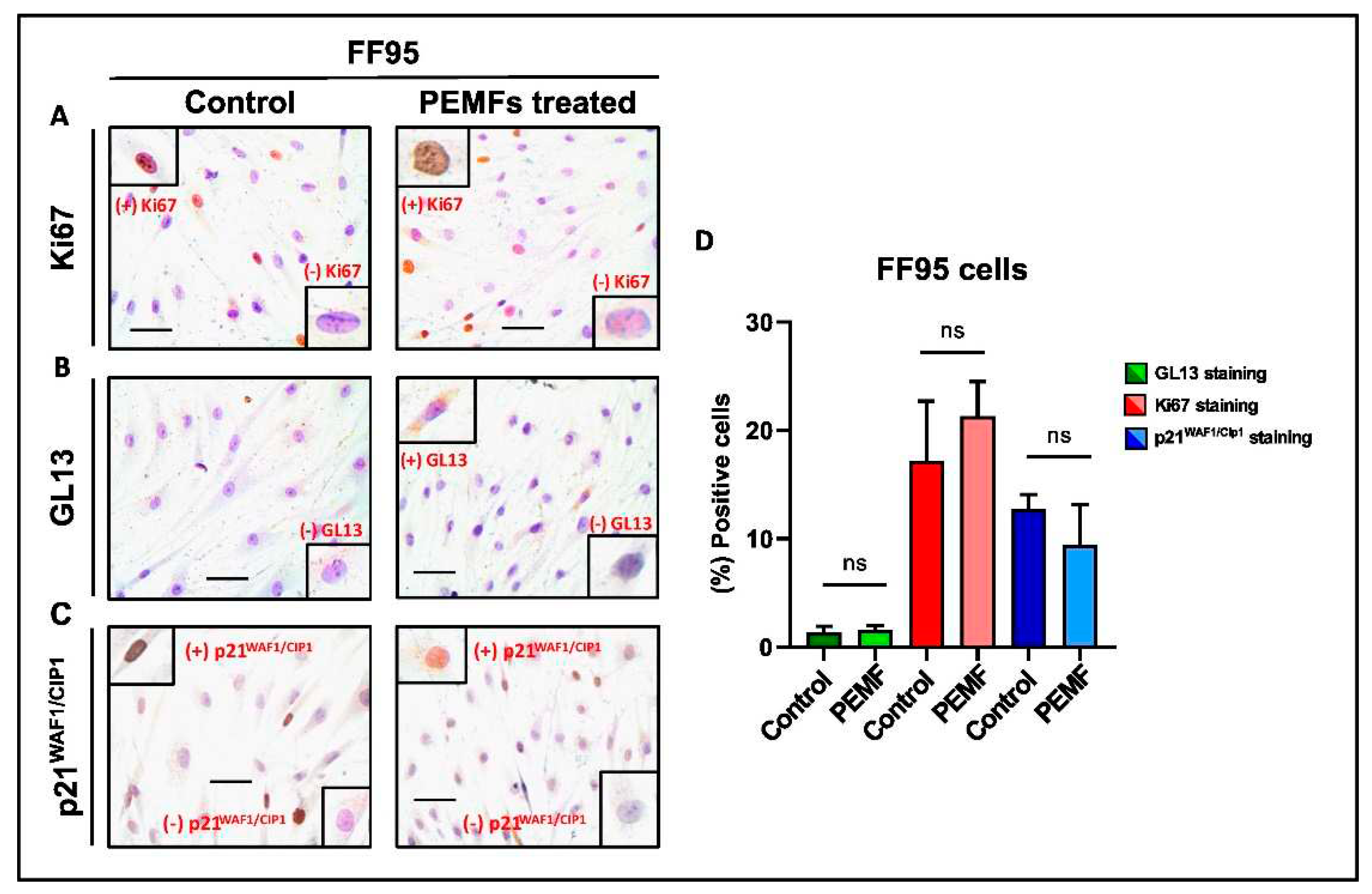 Preprints 97192 g005