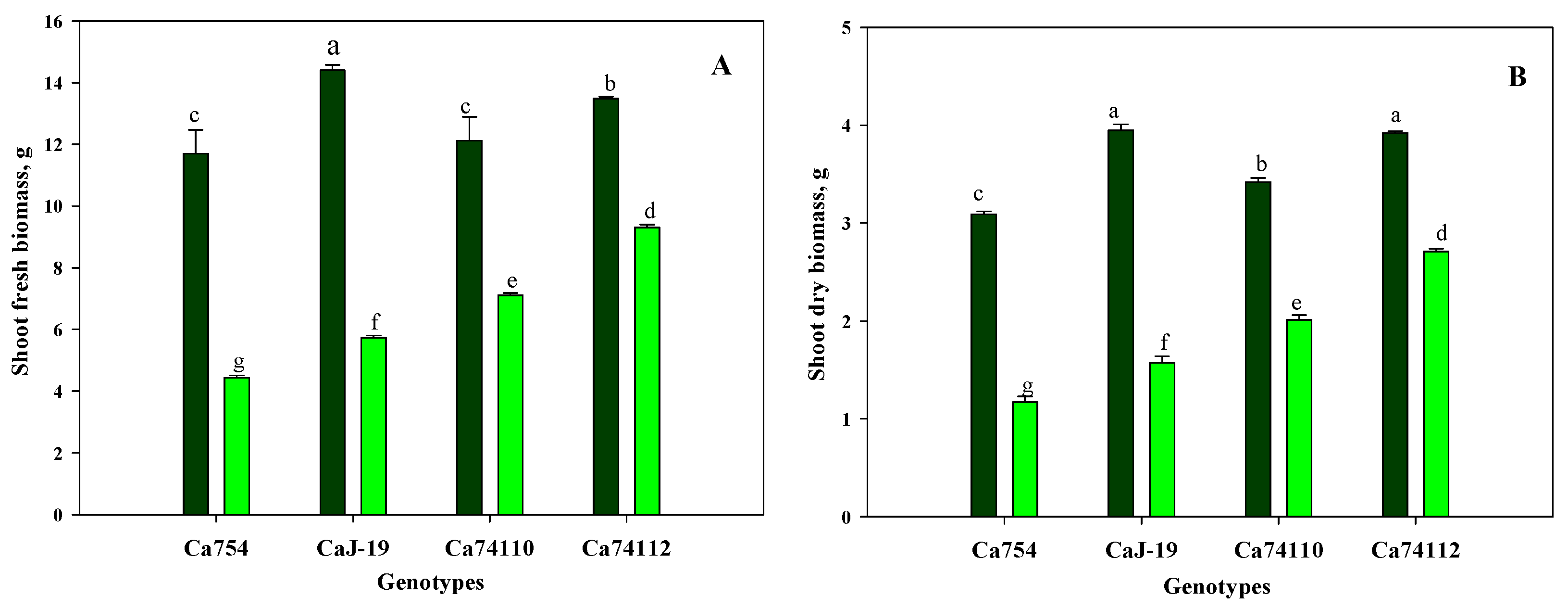 Preprints 93896 g002