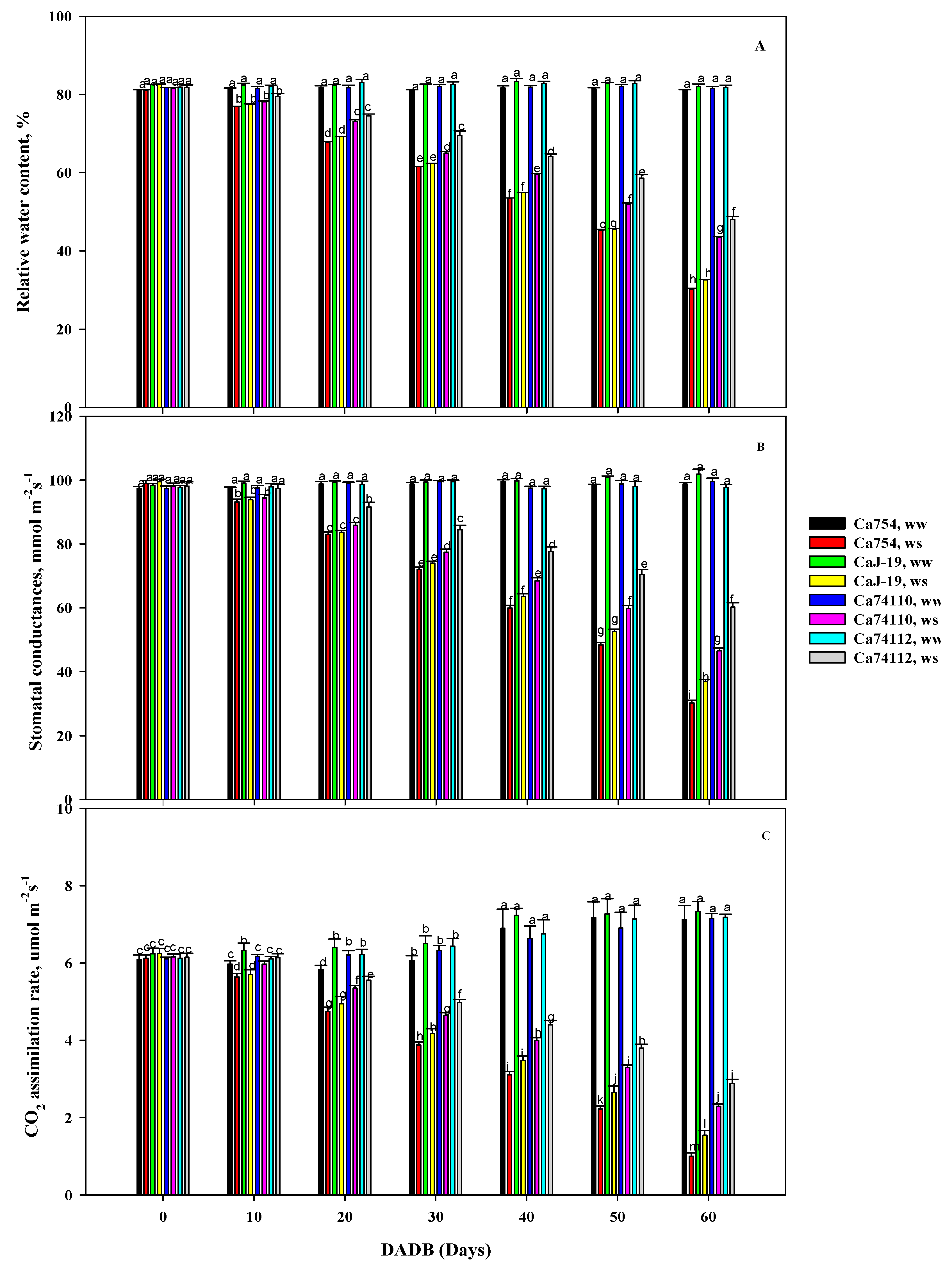 Preprints 93896 g003