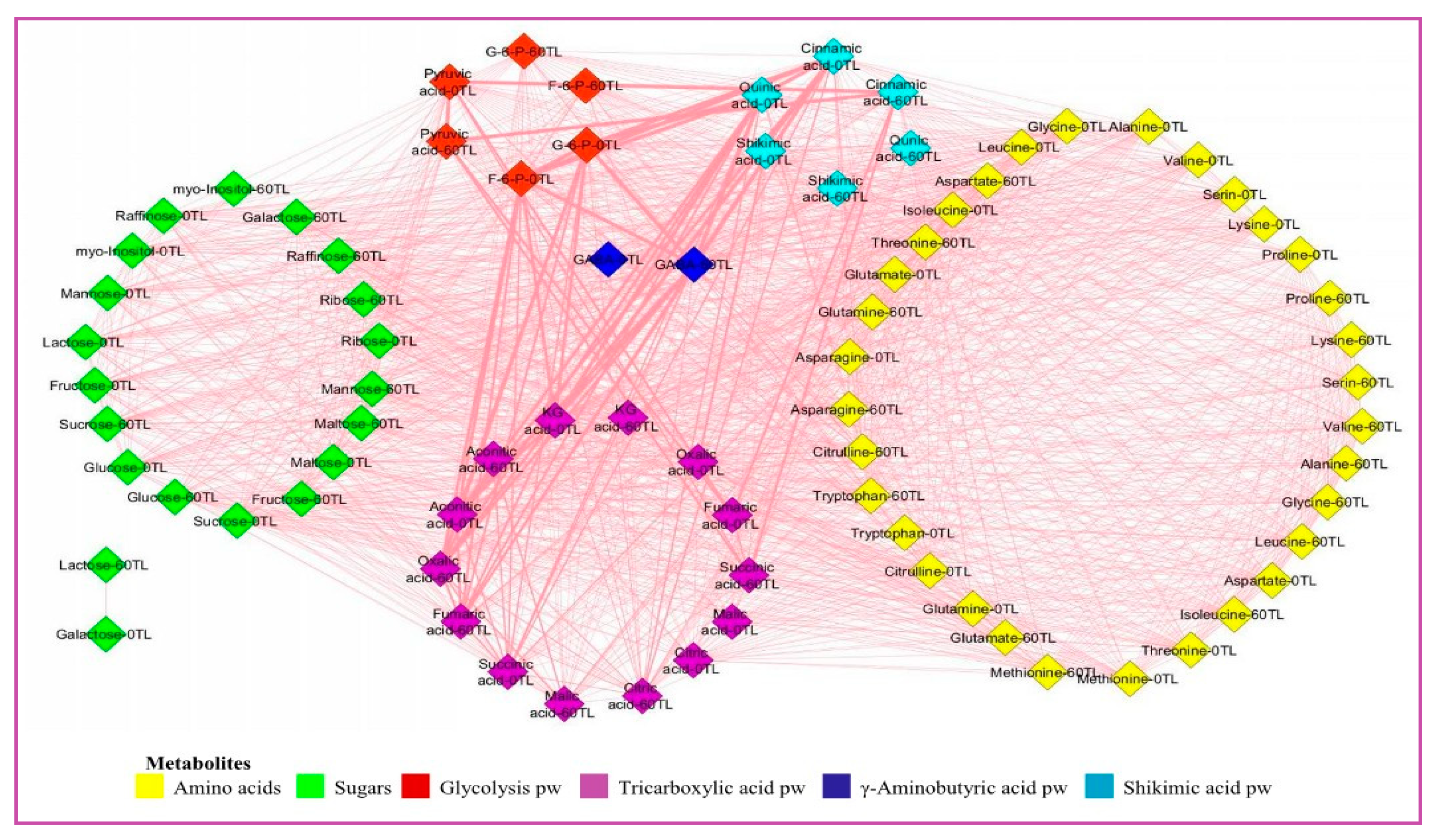 Preprints 93896 g006