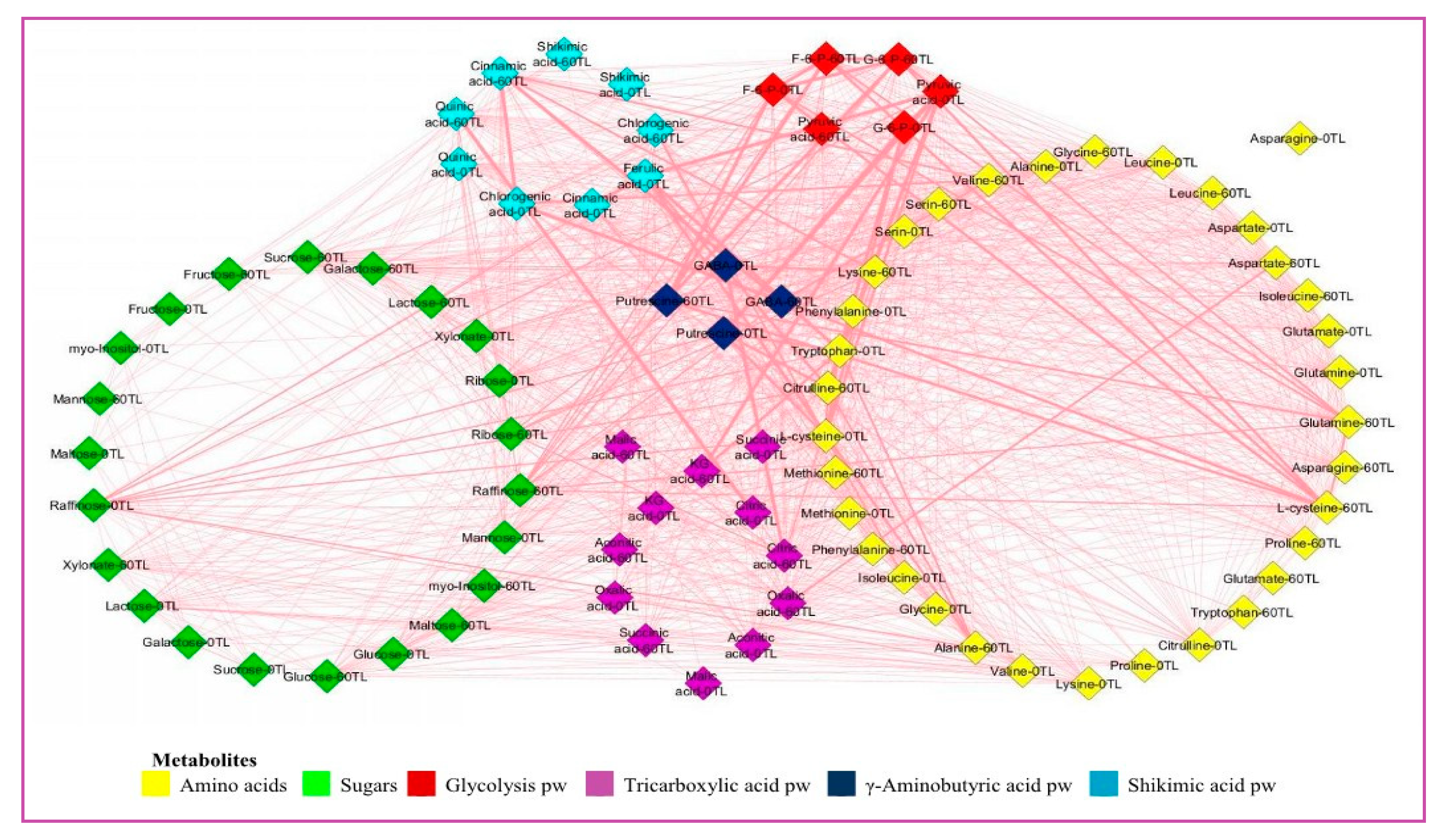 Preprints 93896 g007