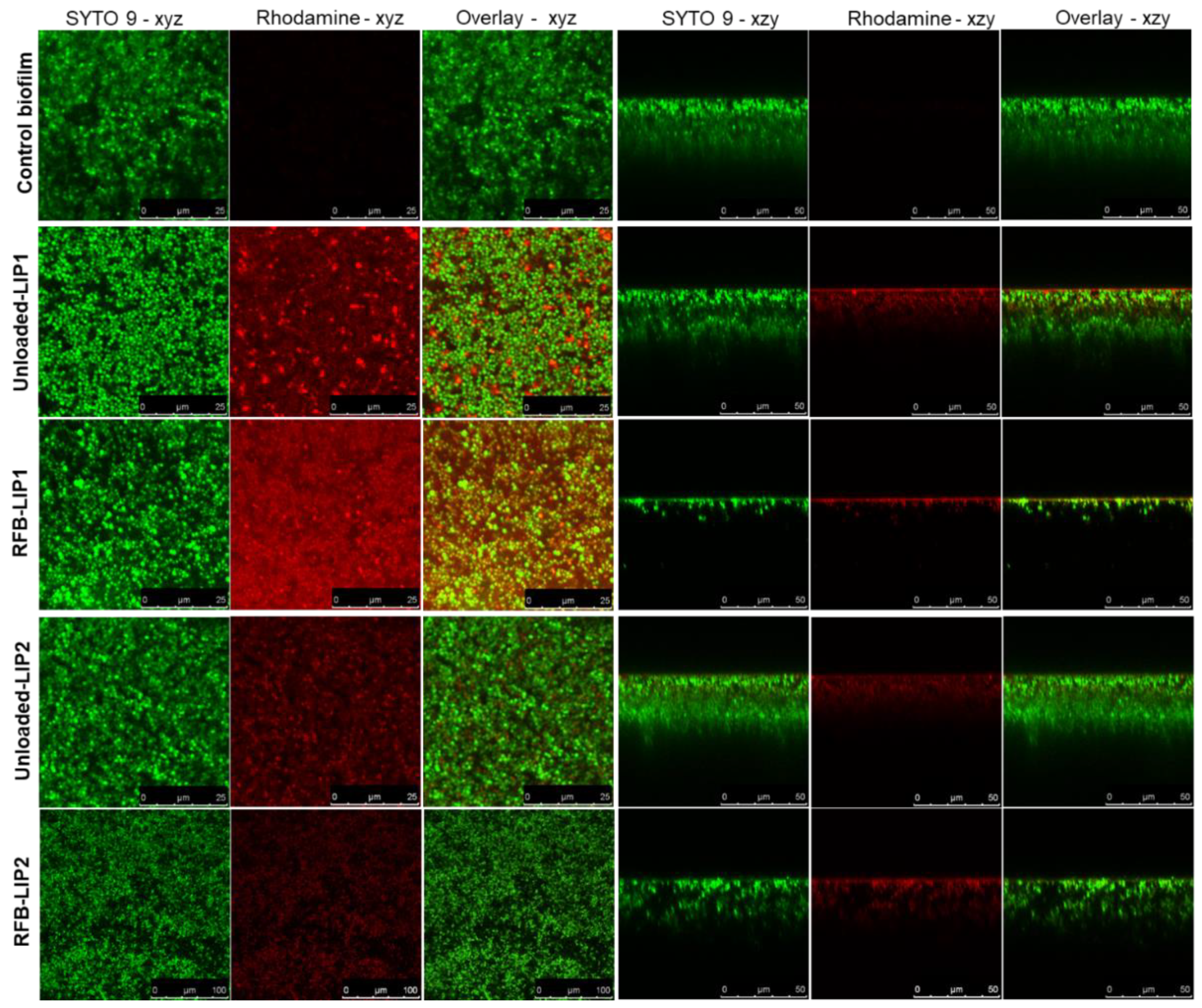 Preprints 99244 g006