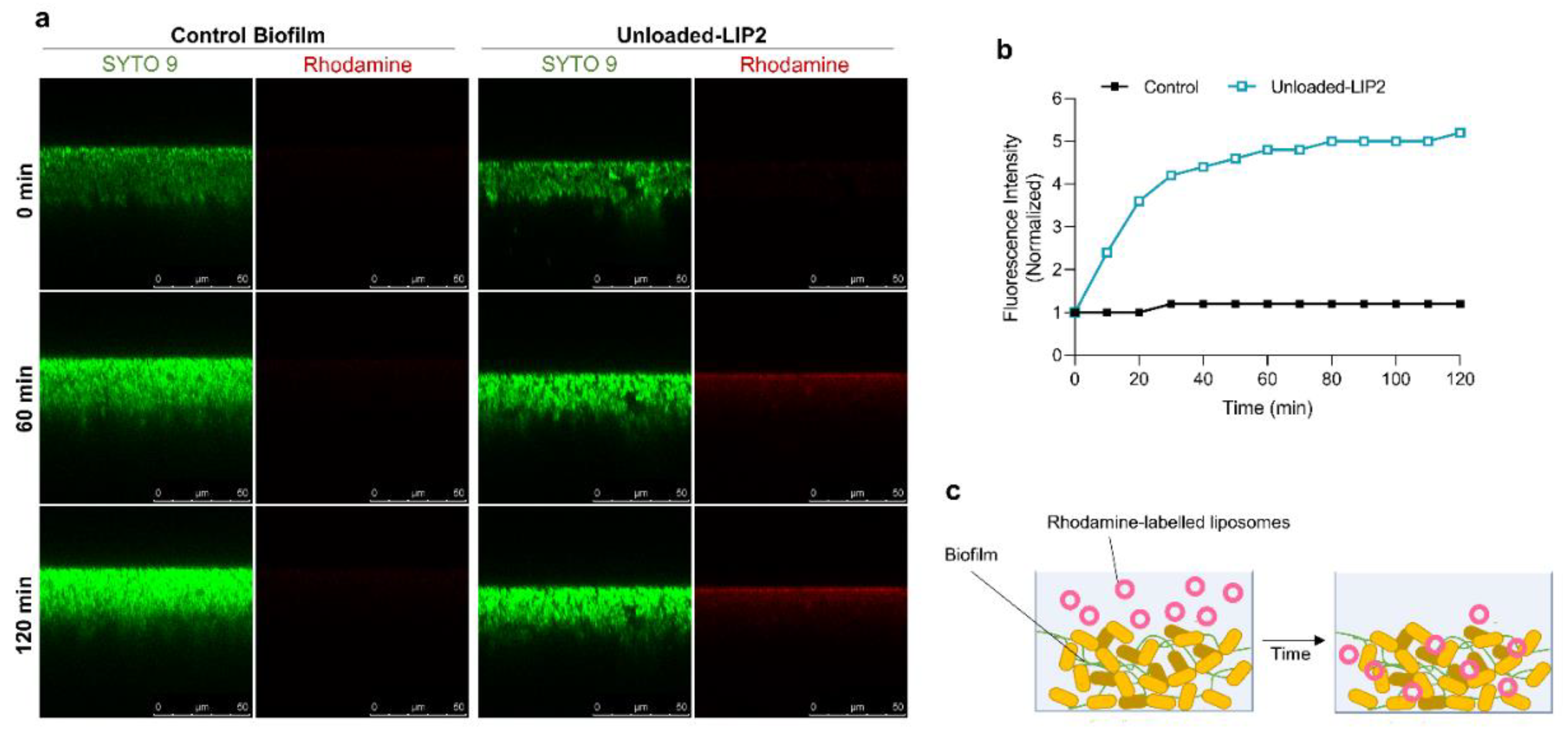 Preprints 99244 g007