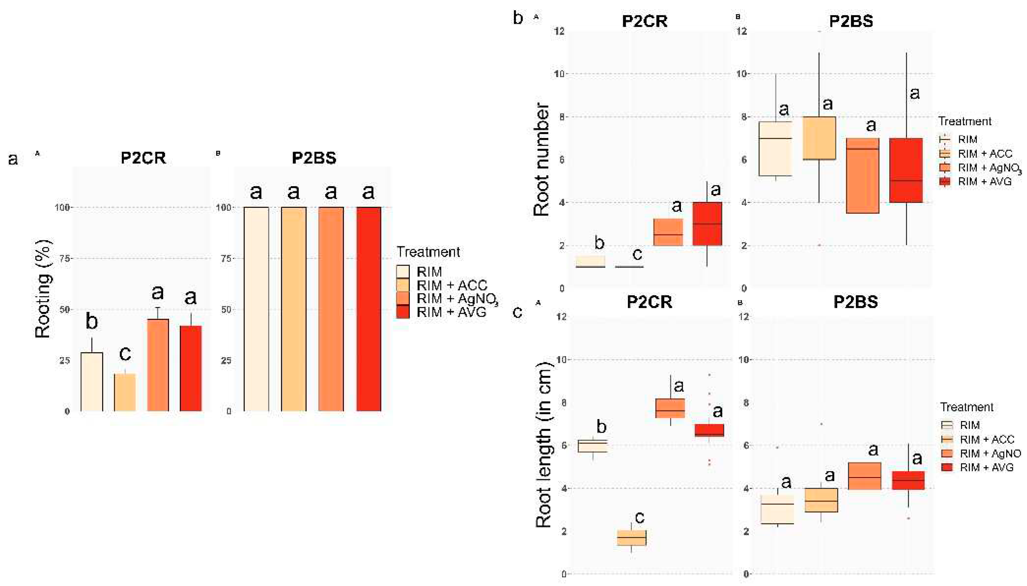 Preprints 94786 g002