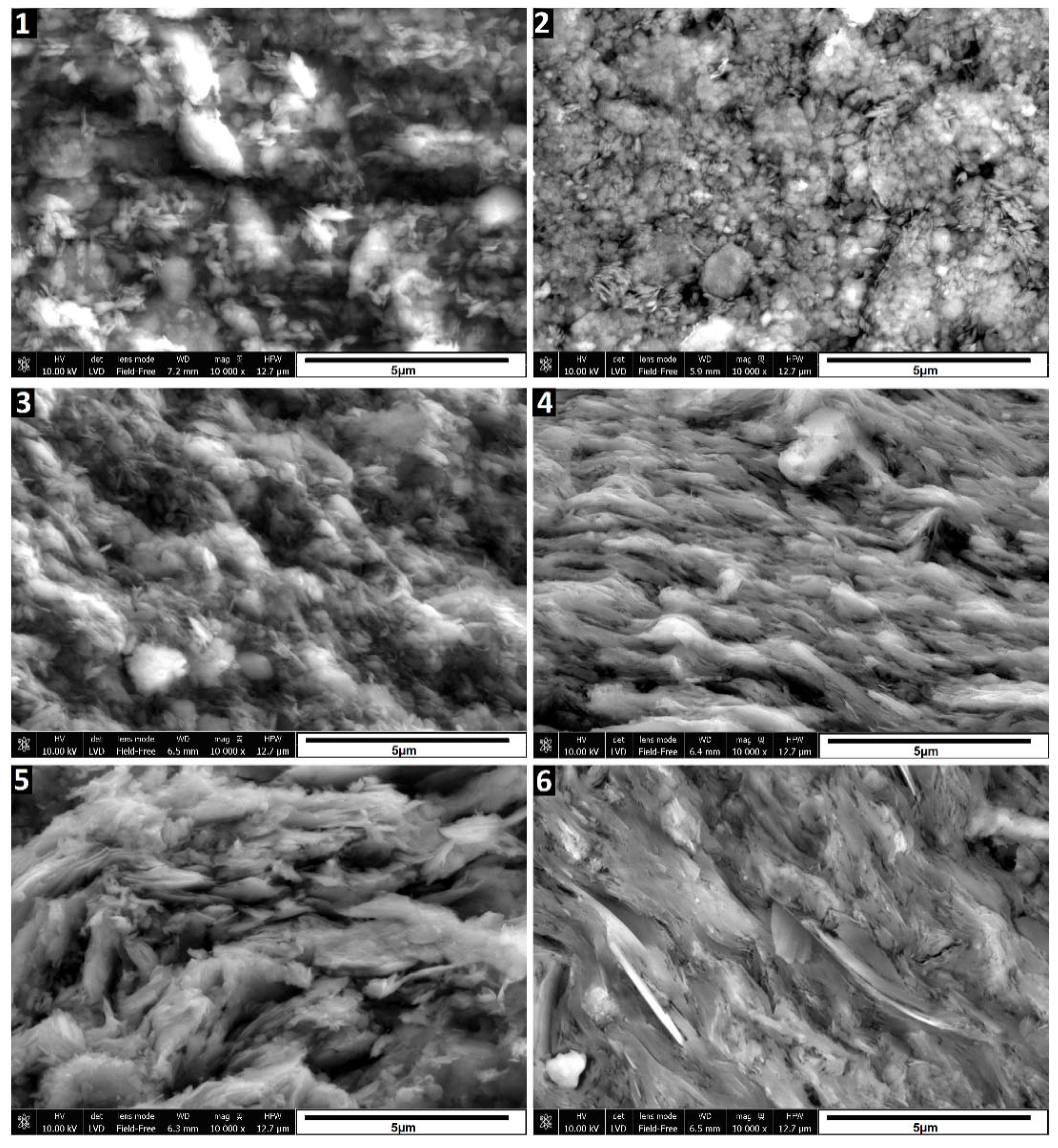 Preprints 116380 g003