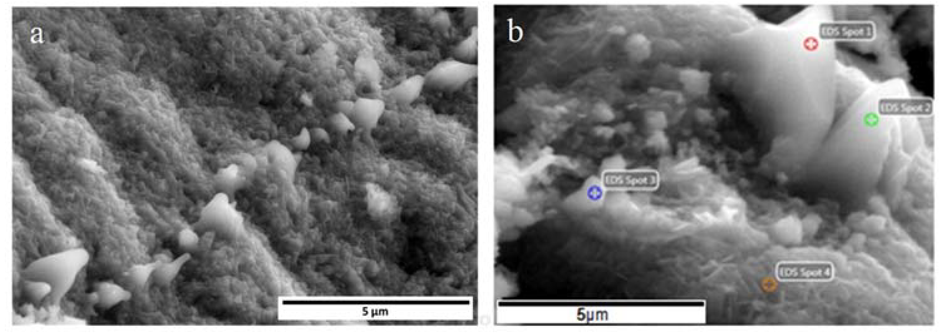 Preprints 116380 g008