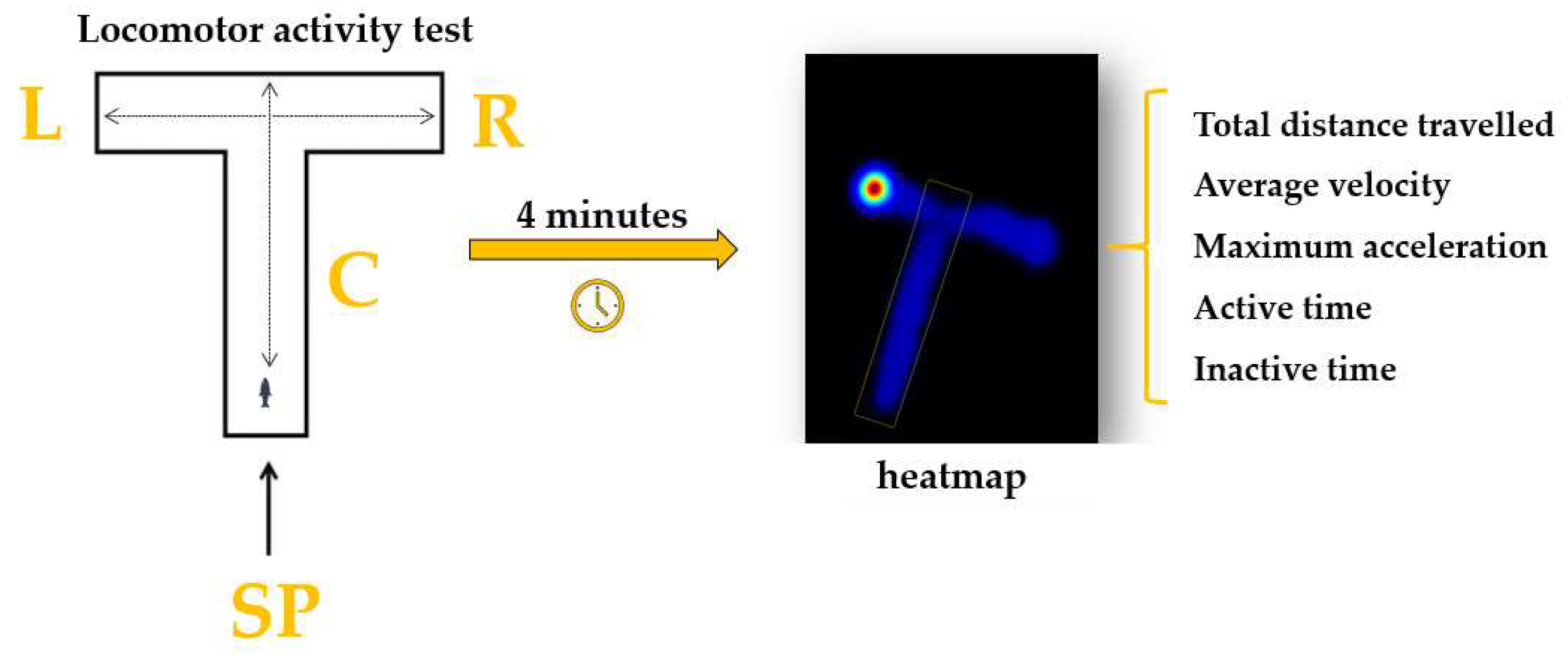 Preprints 92855 g002