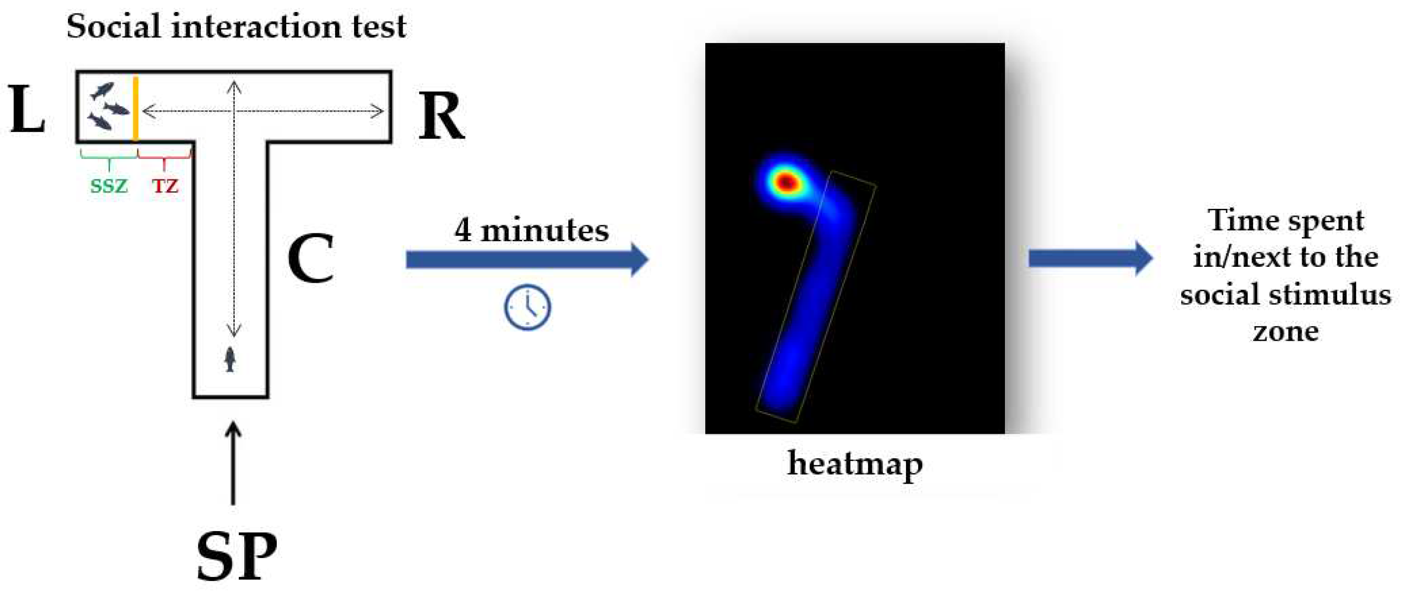 Preprints 92855 g003