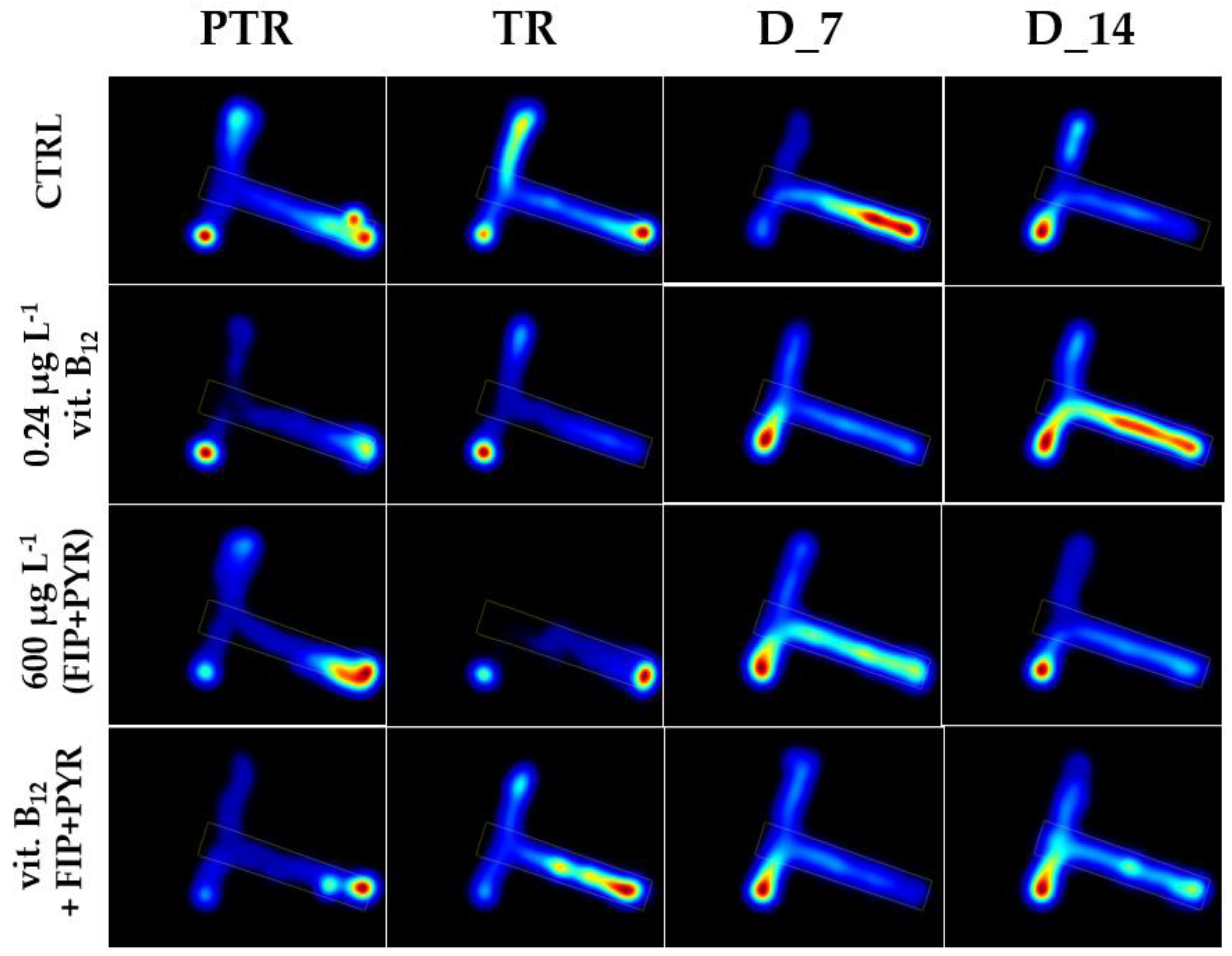 Preprints 92855 g009