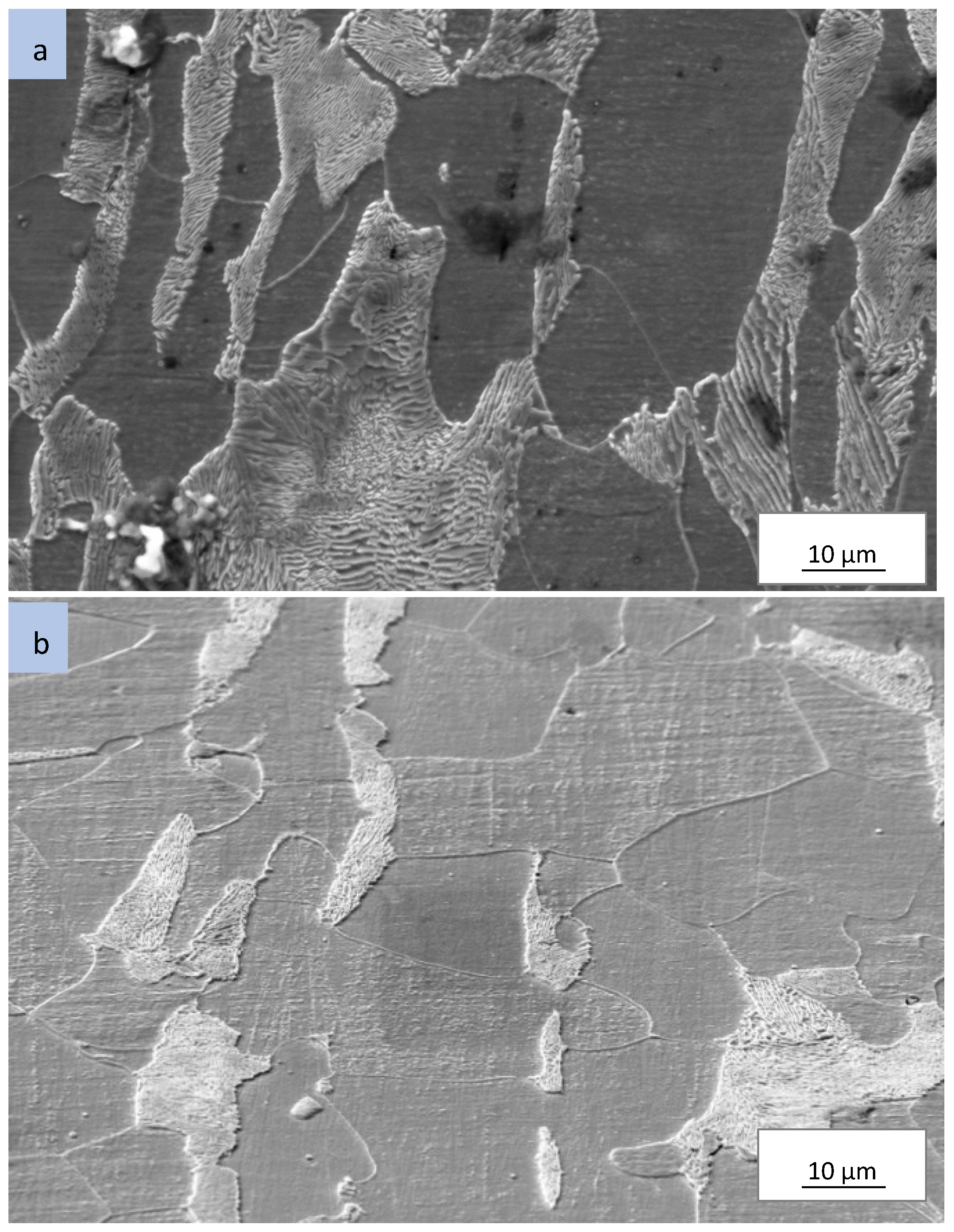 Preprints 92265 g004