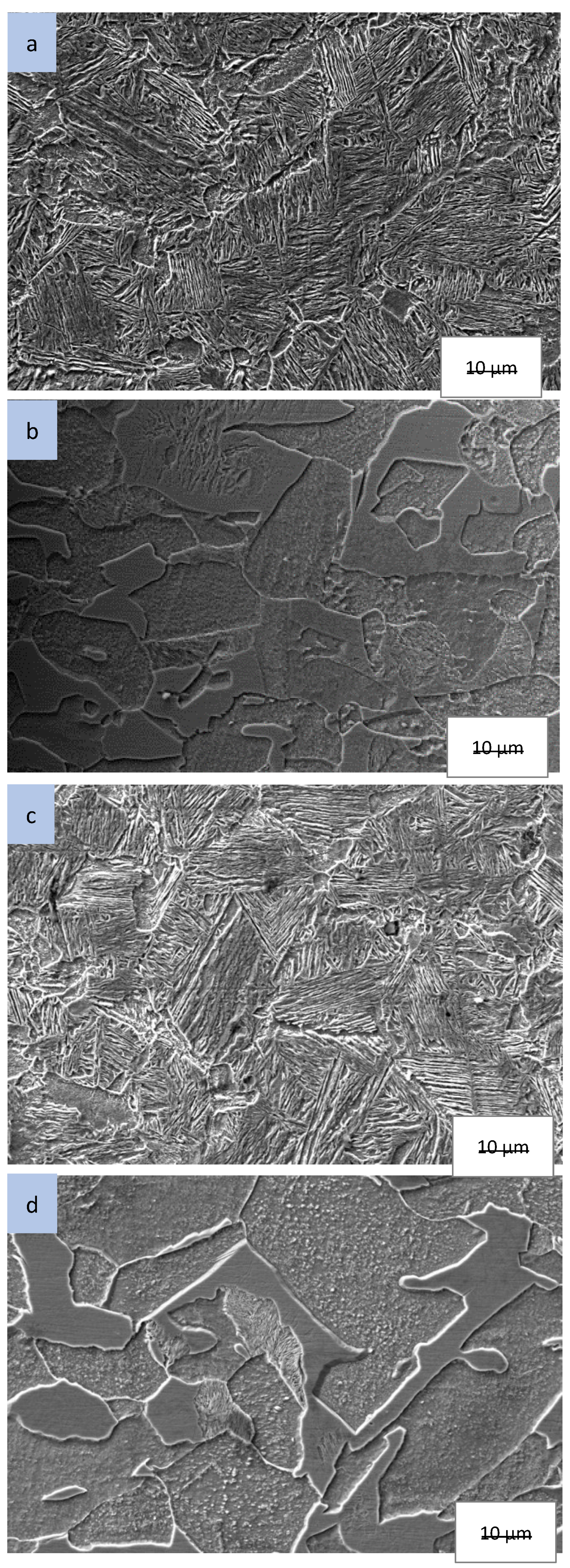 Preprints 92265 g005