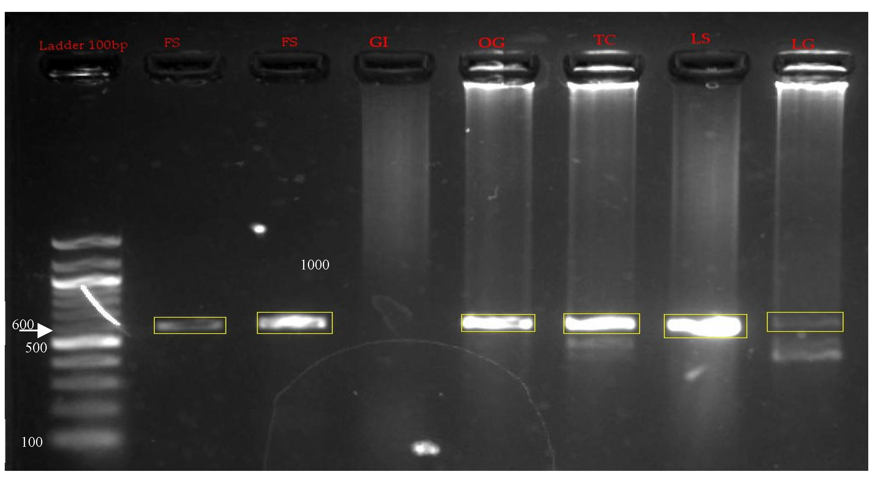 Preprints 108929 g003